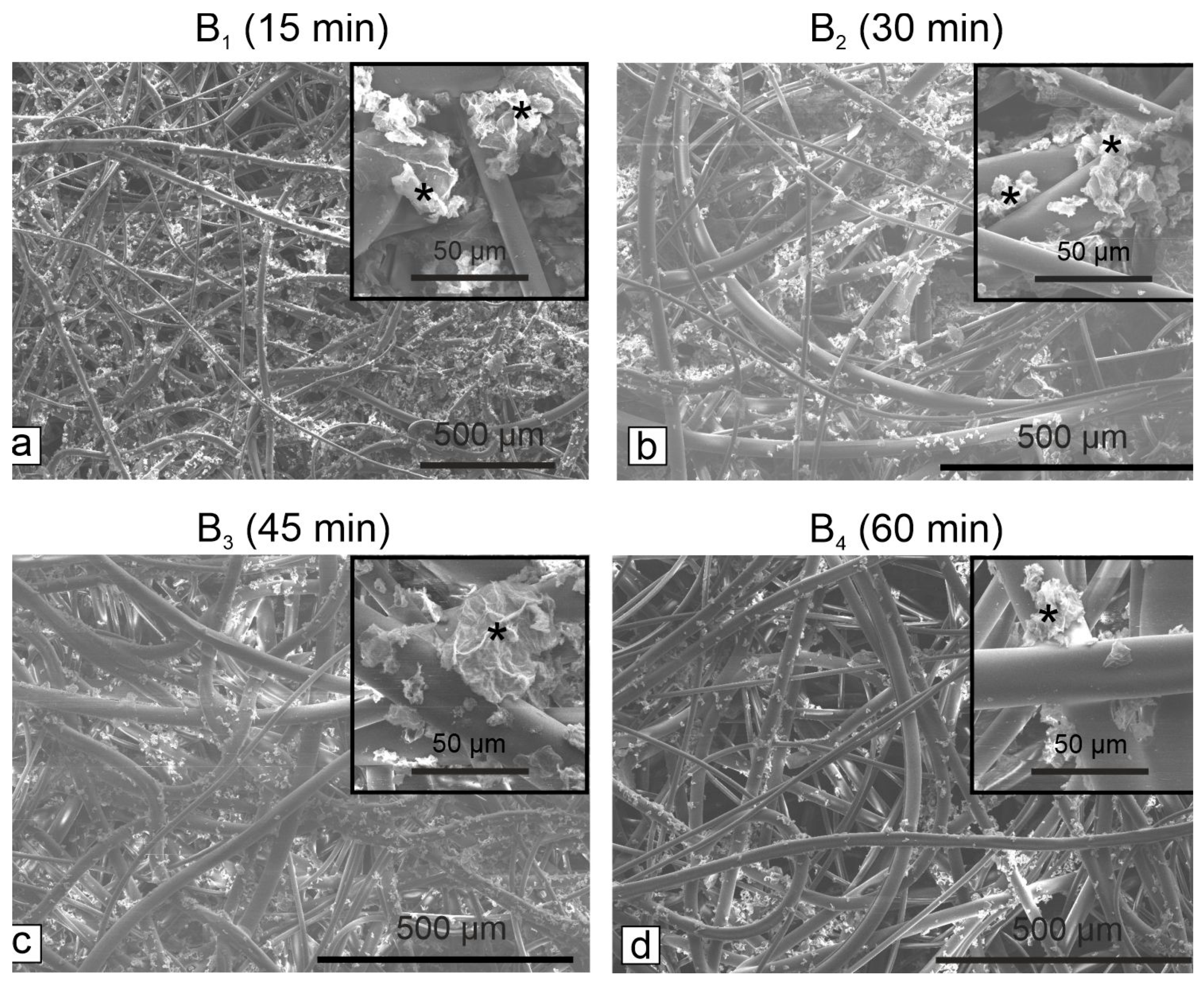 Microorganisms 11 00745 g005 Microorganisms 11 00745 g005