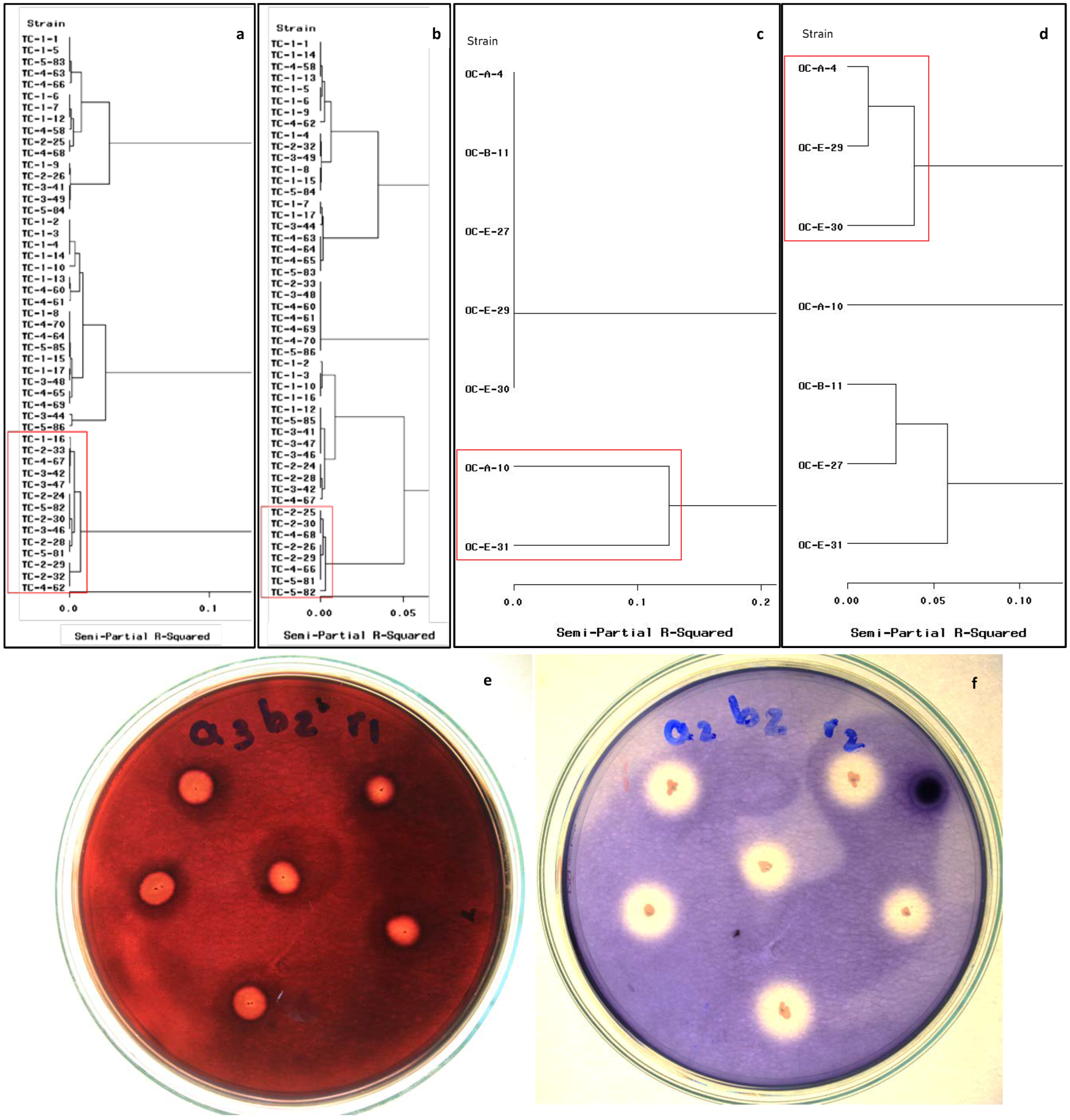 Microorganisms 11 00751 g001