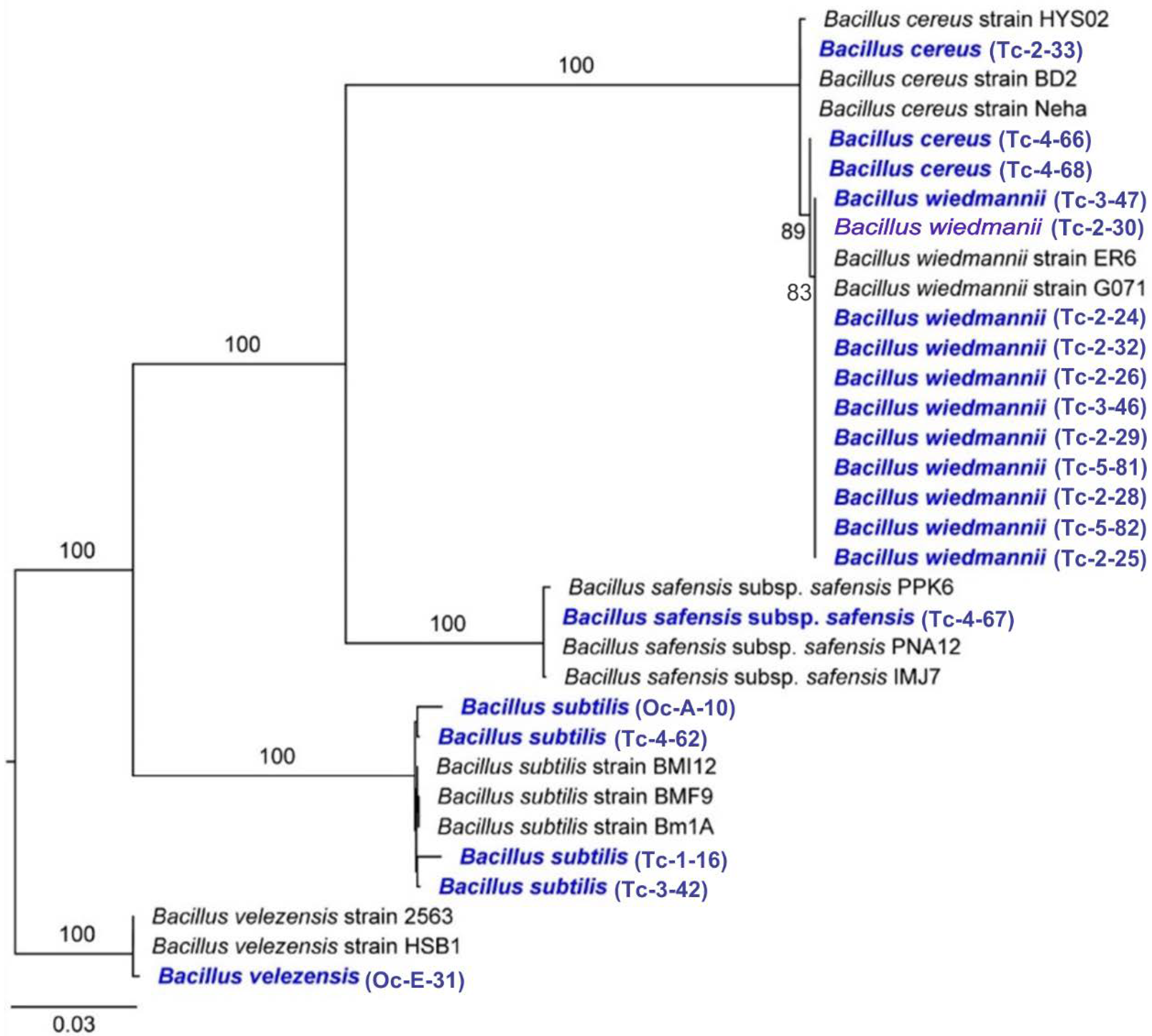 Microorganisms 11 00751 g002