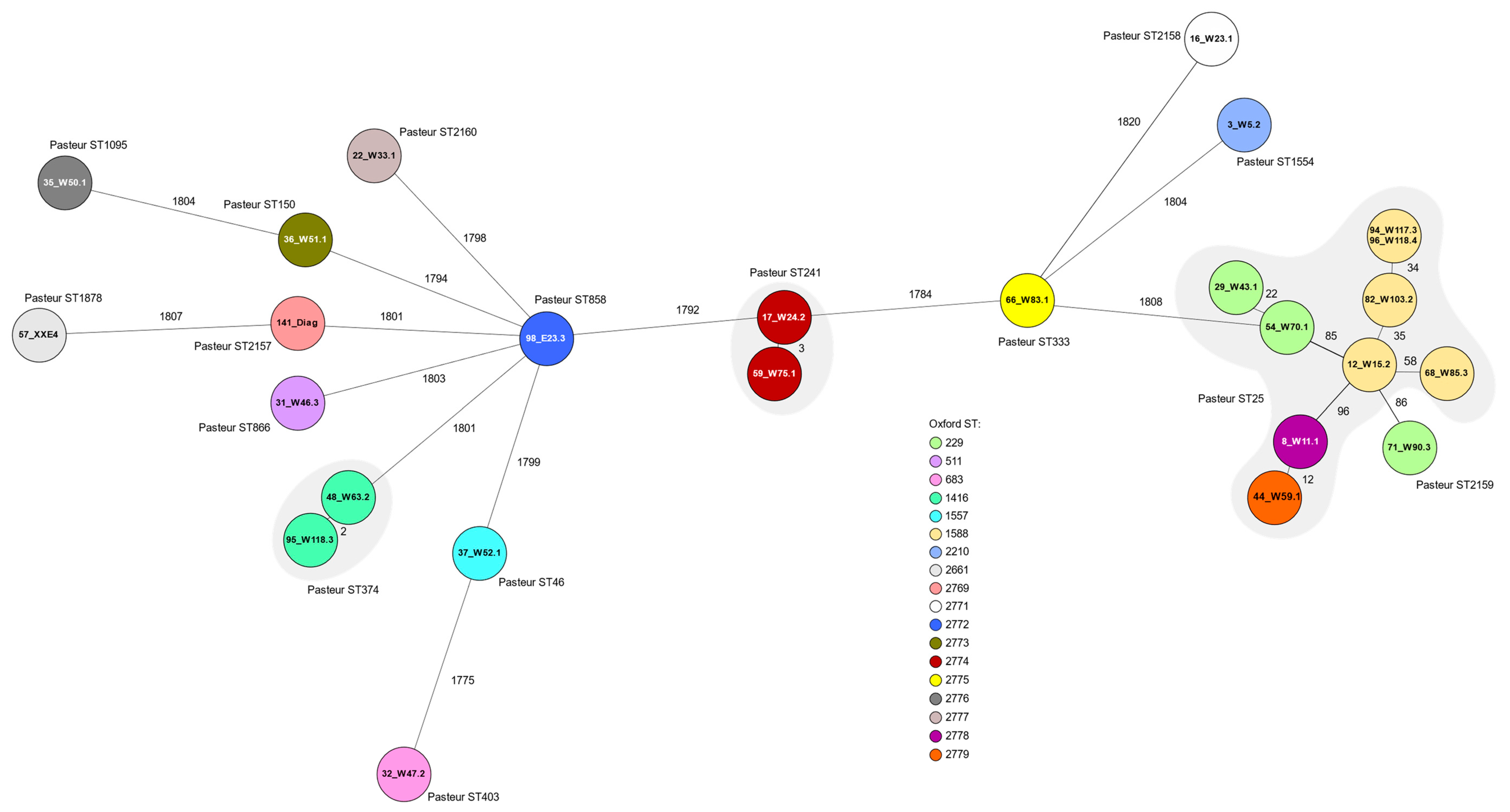 Microorganisms 11 00759 g002 Microorganisms 11 00759 g002