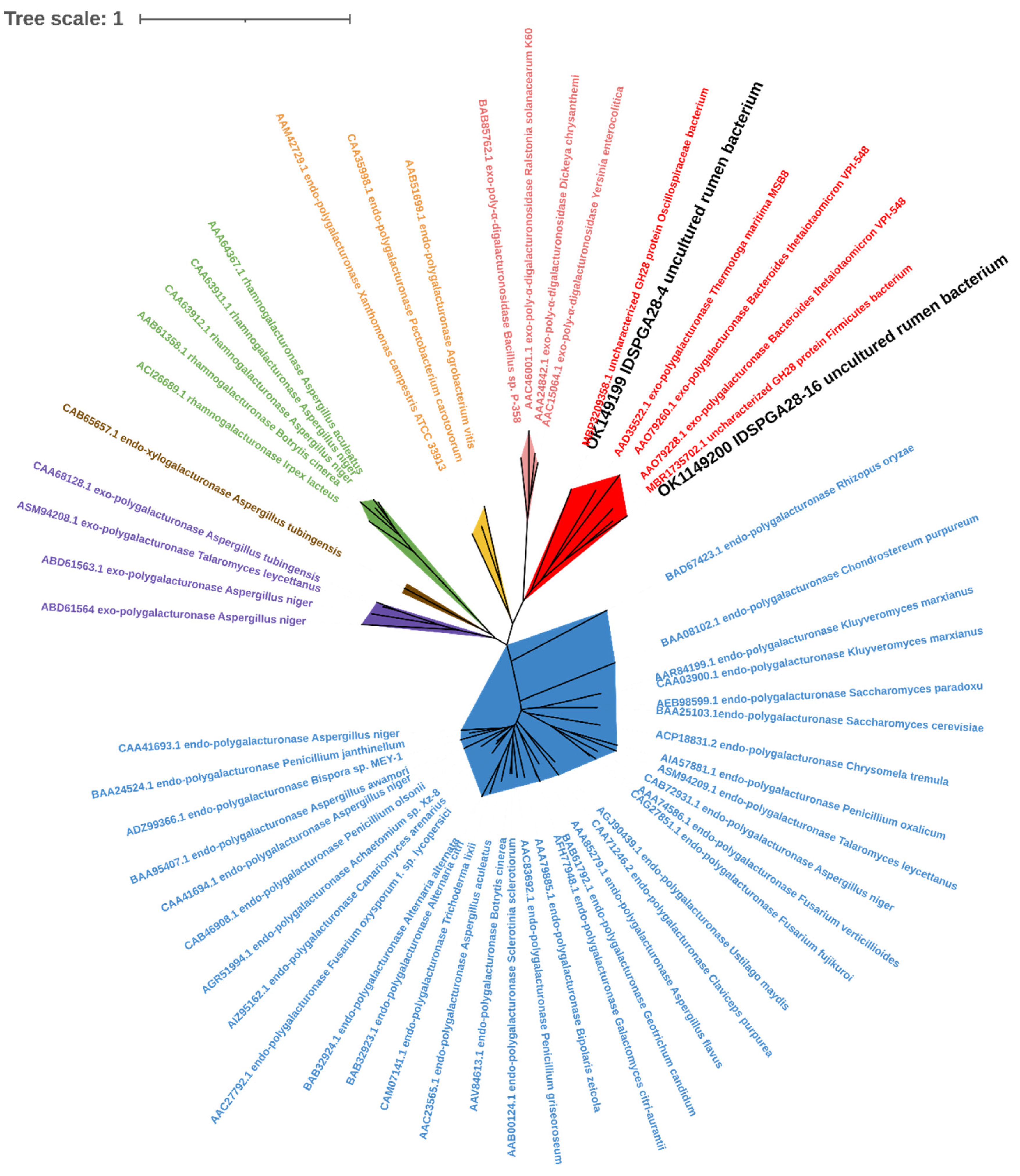 Microorganisms 11 00760 g001