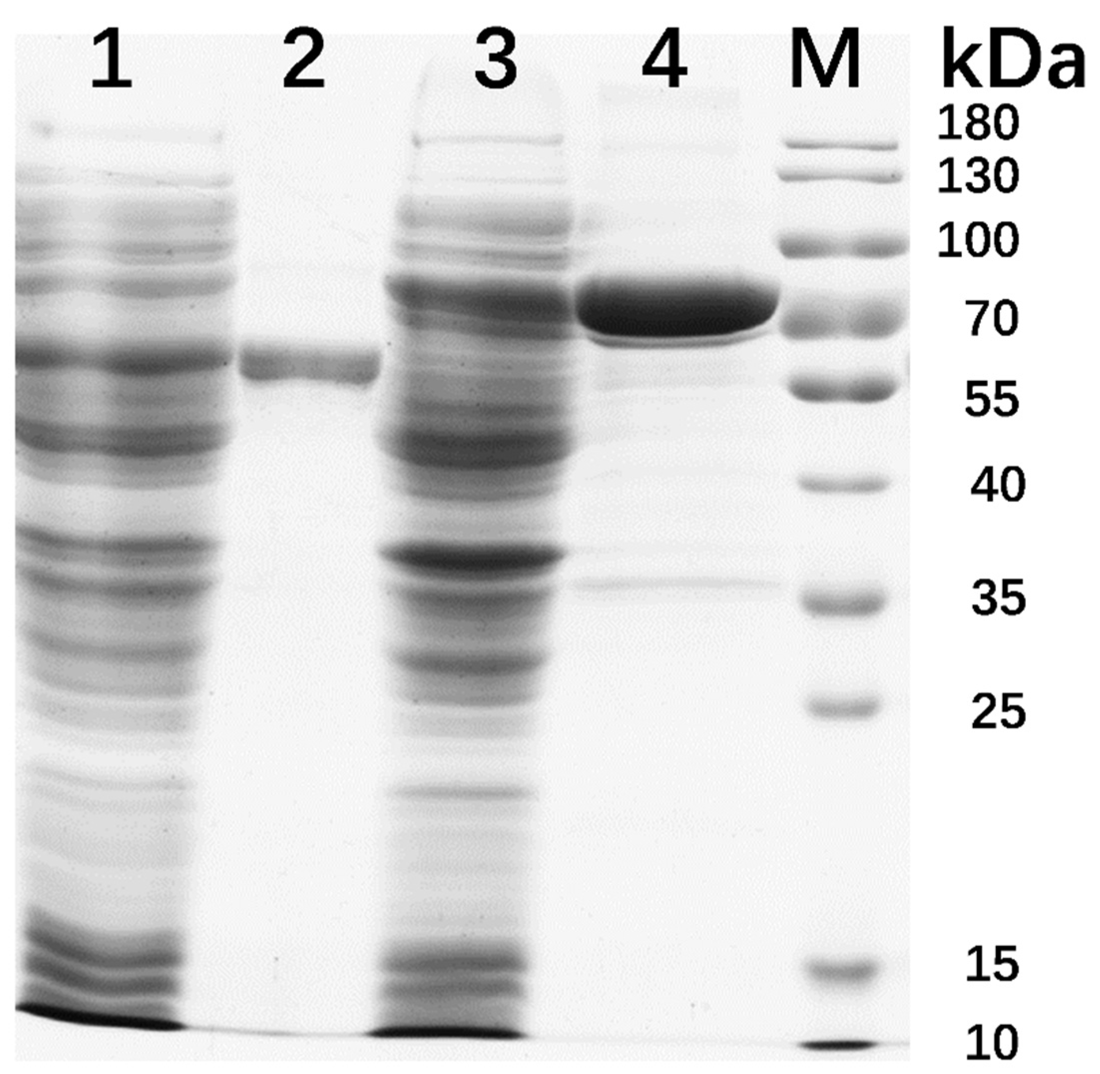Microorganisms 11 00760 g002