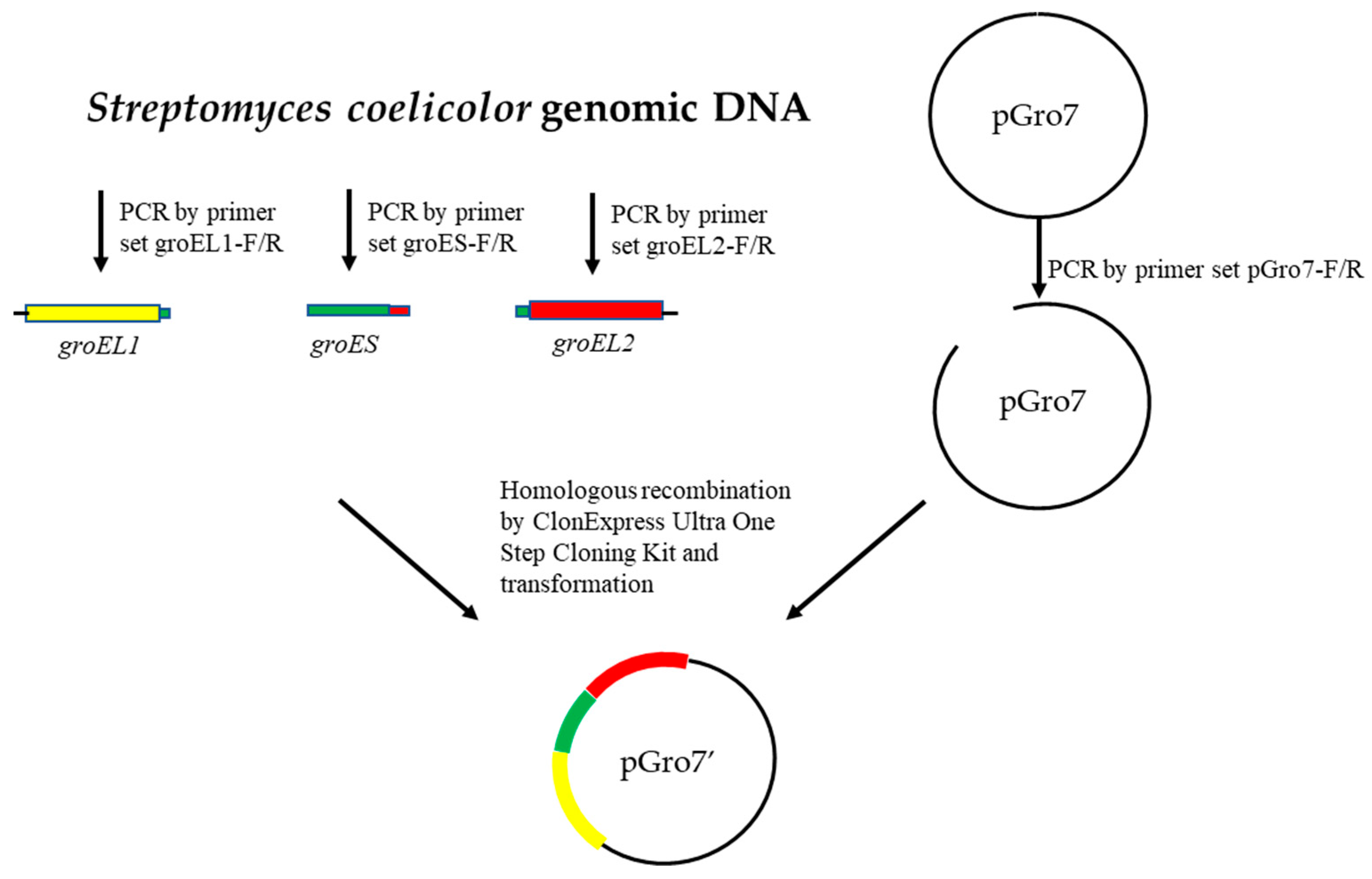 Microorganisms 11 00762 g001 Microorganisms 11 00762 g001