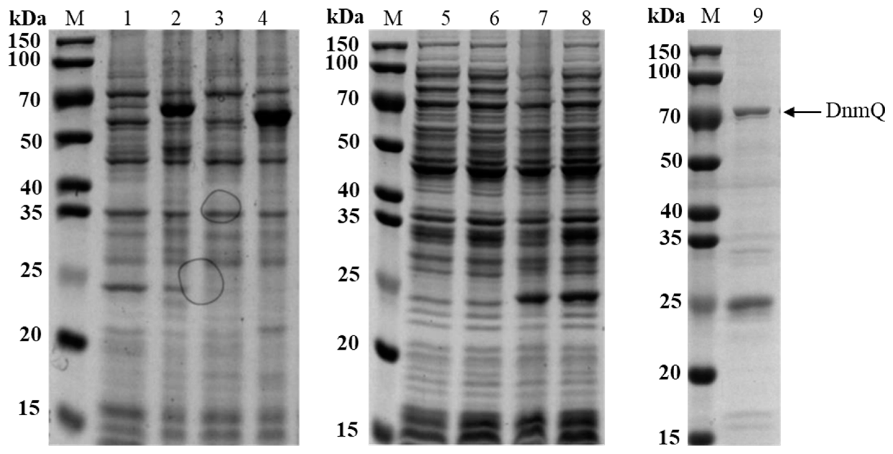 Microorganisms 11 00762 g002 Microorganisms 11 00762 g002