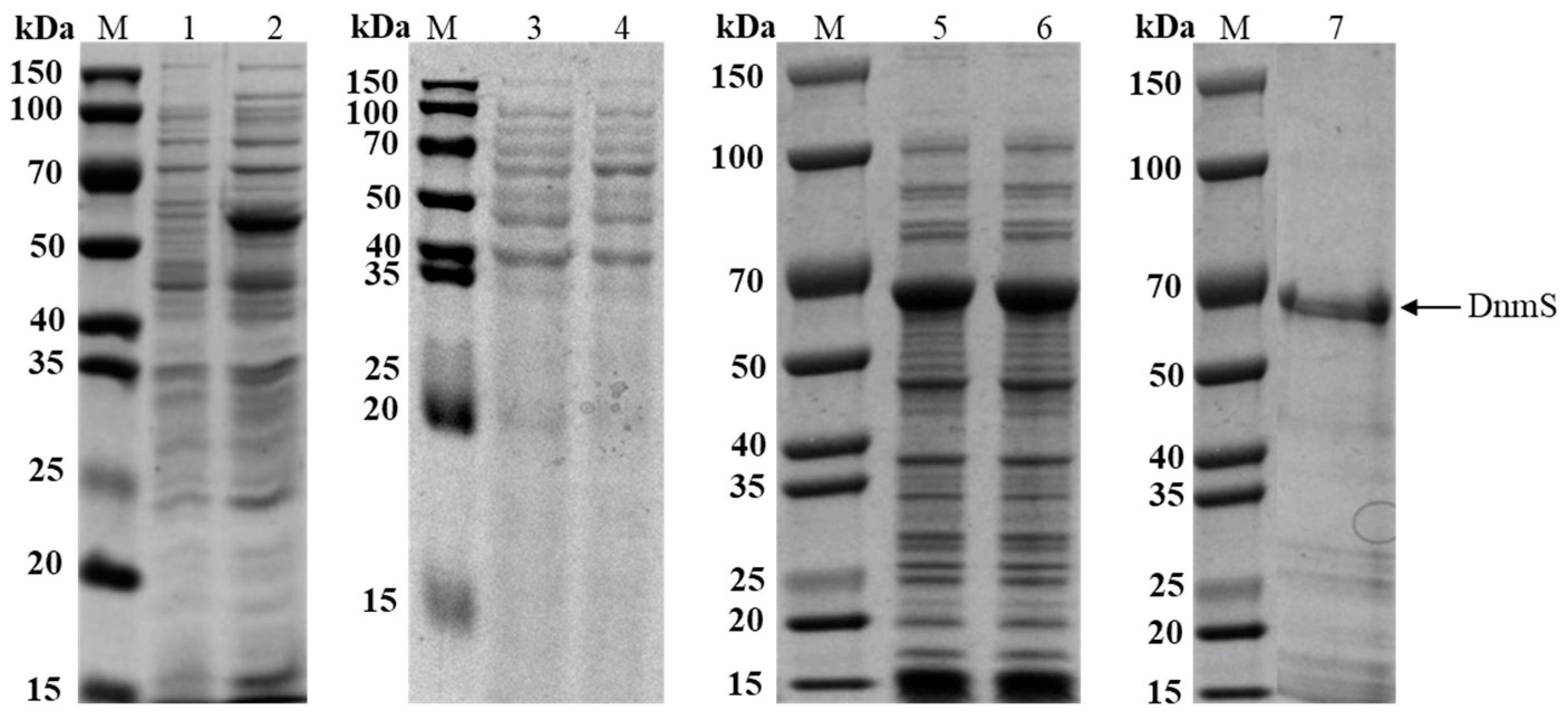 Microorganisms 11 00762 g003 Microorganisms 11 00762 g003