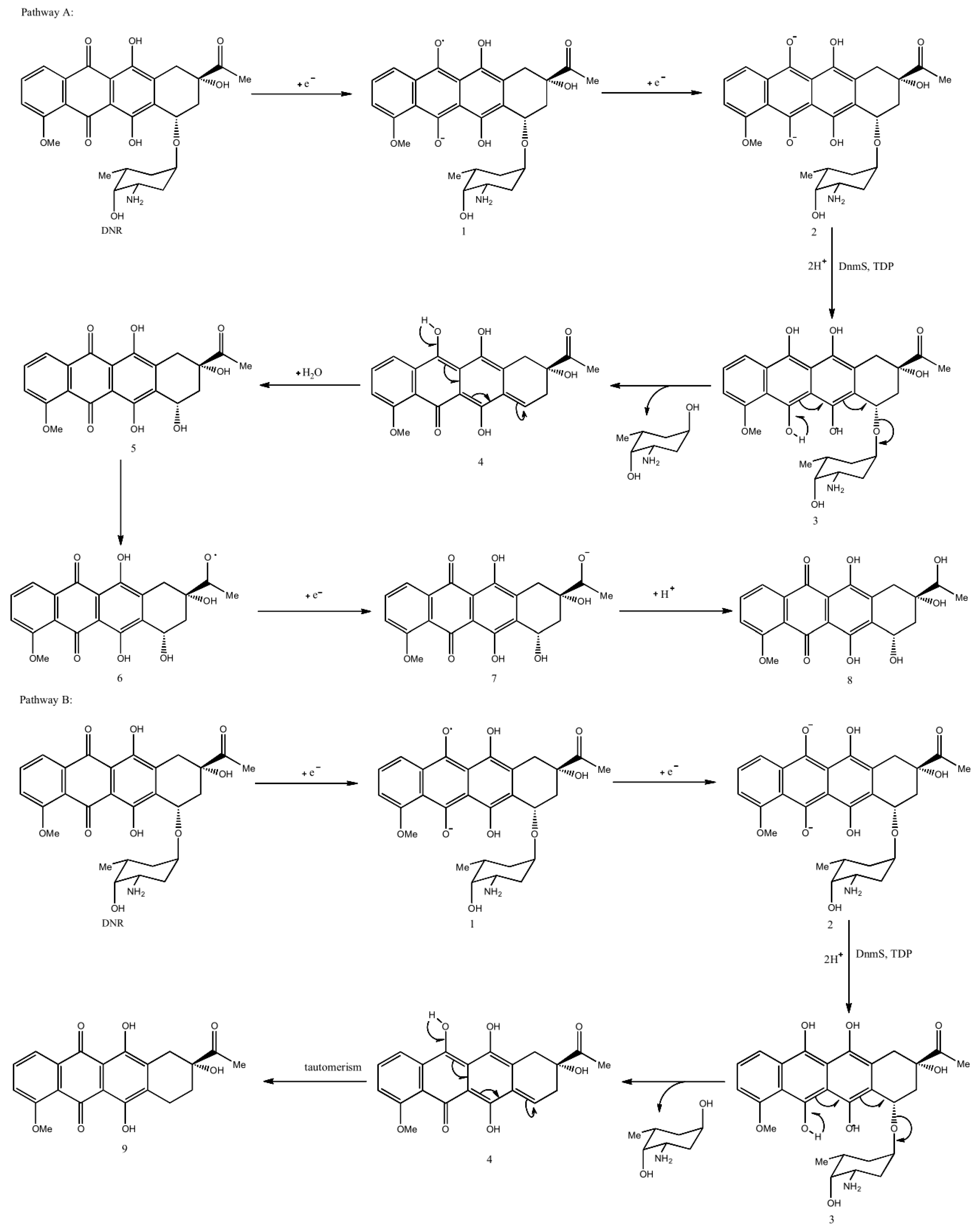 Microorganisms 11 00762 g004 Microorganisms 11 00762 g004
