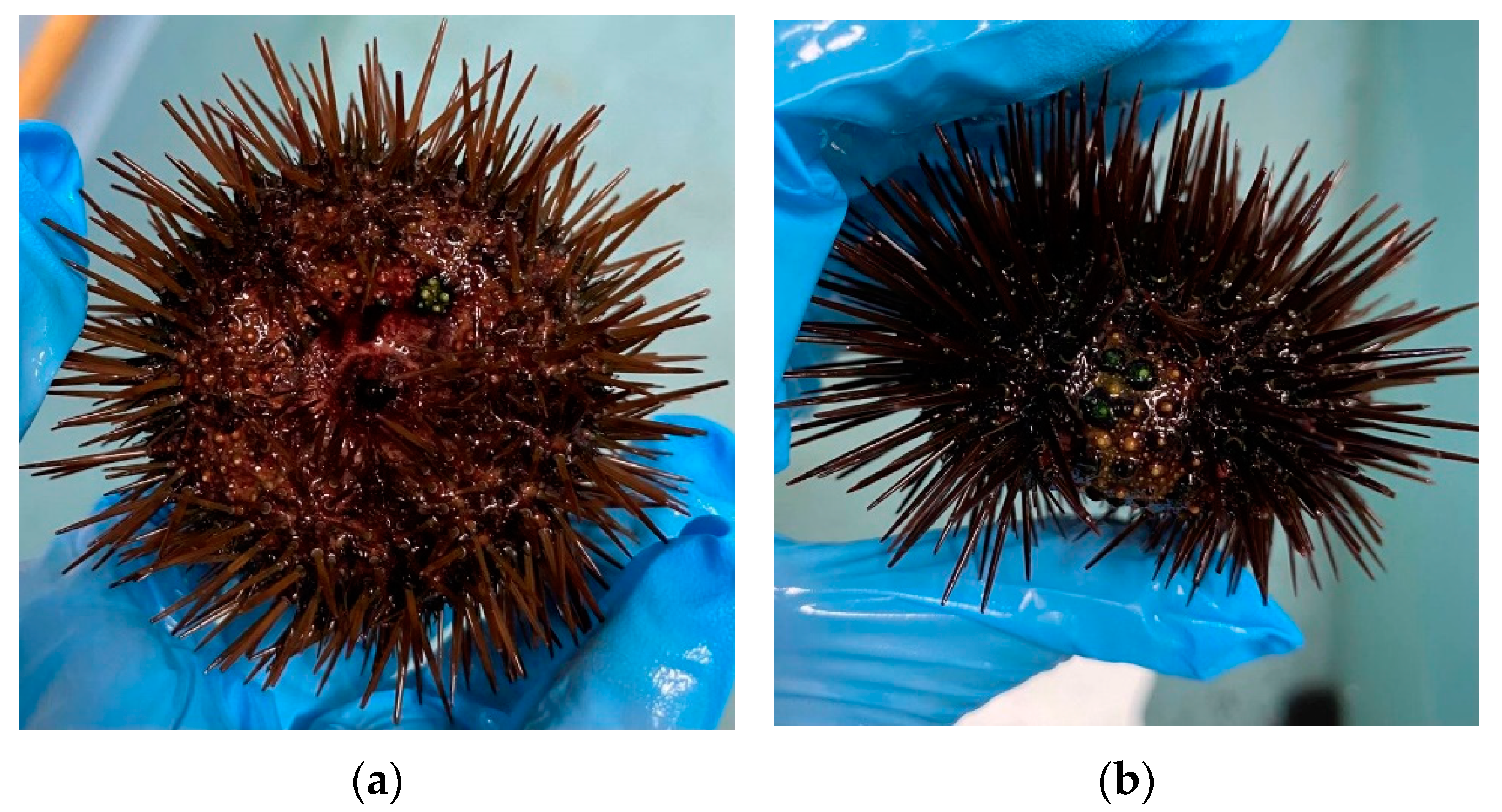 Microorganisms 11 00763 g002a