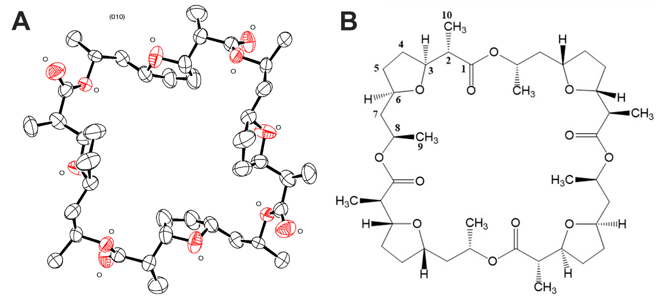 Microorganisms 11 00764 g004 Microorganisms 11 00764 g004