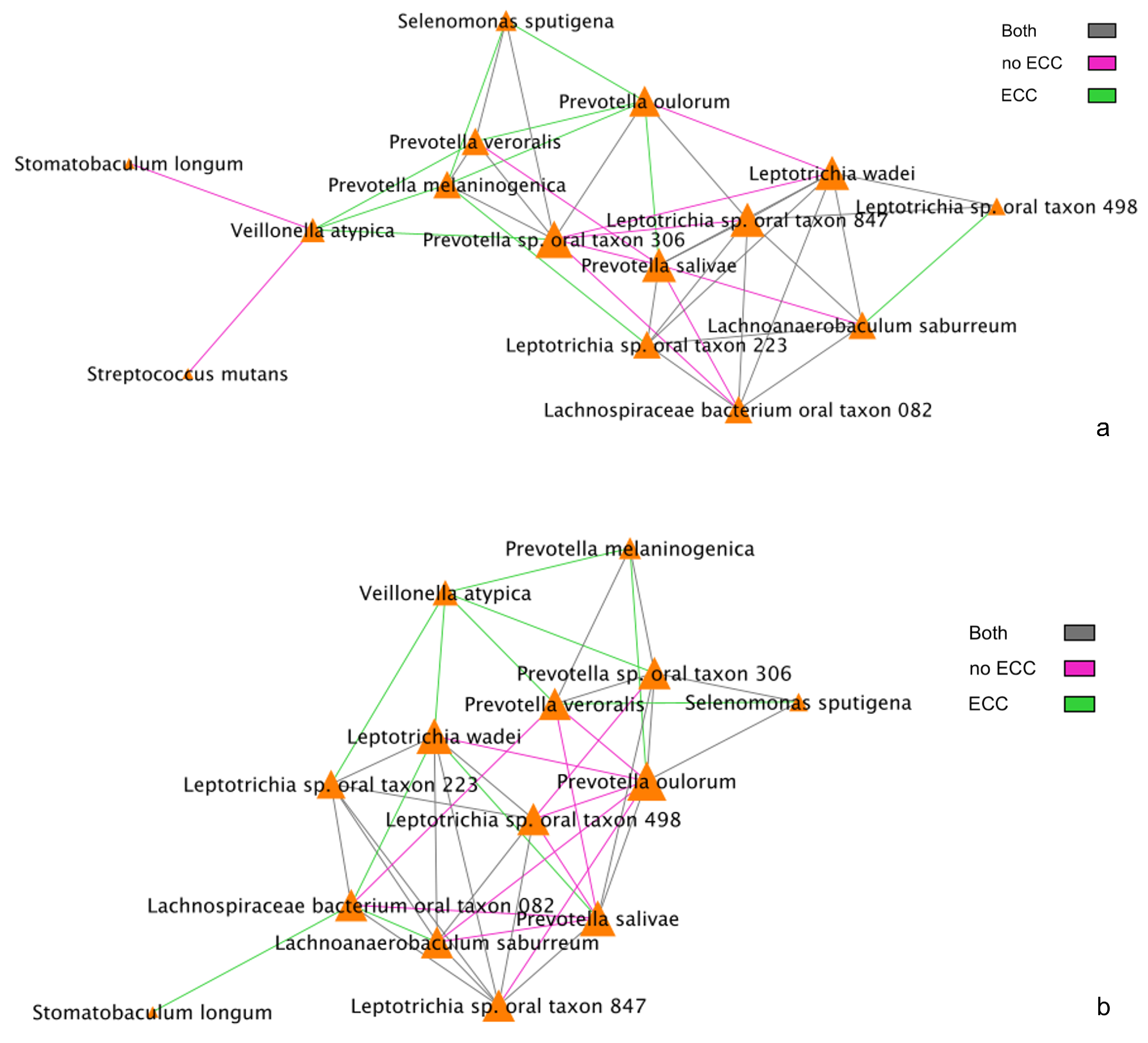 Microorganisms 11 00766 g005