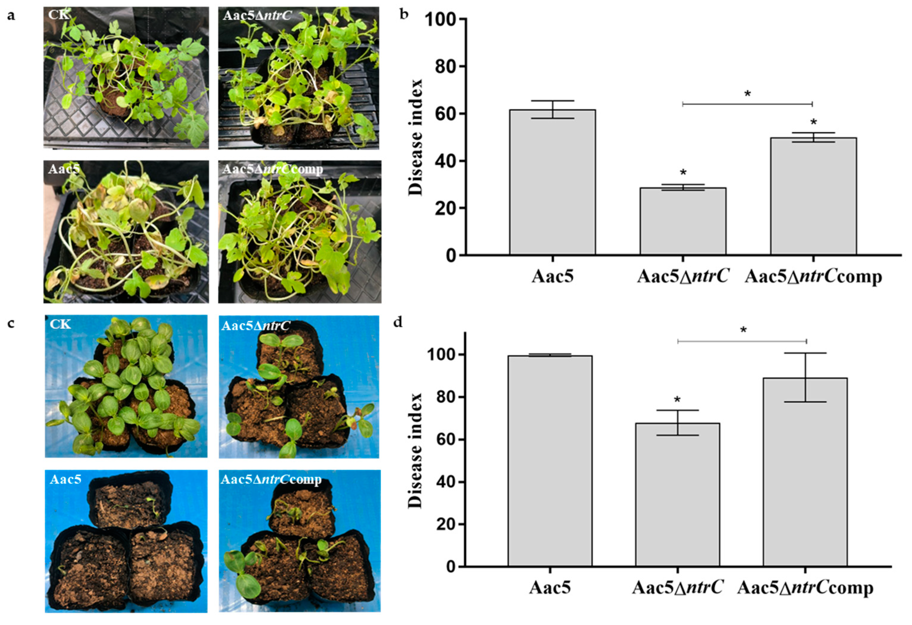 Microorganisms 11 00767 g003 Microorganisms 11 00767 g003