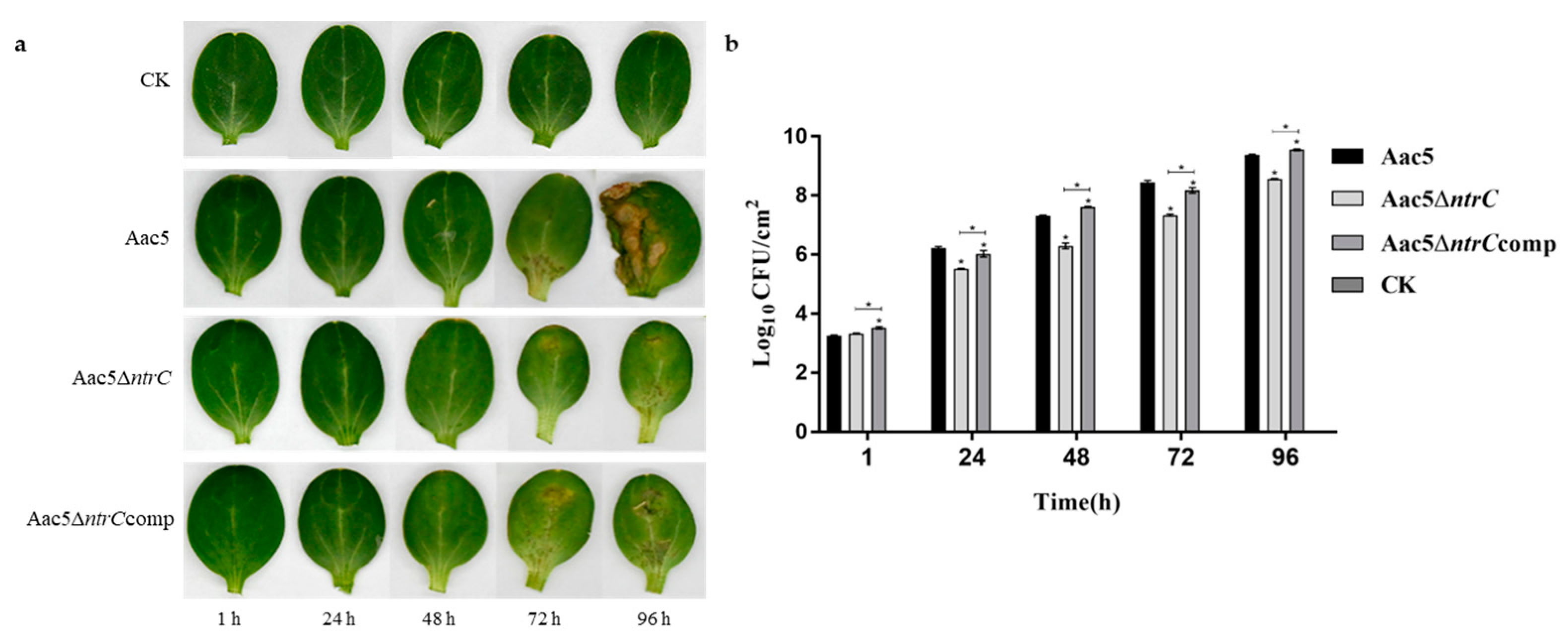 Microorganisms 11 00767 g004 Microorganisms 11 00767 g004