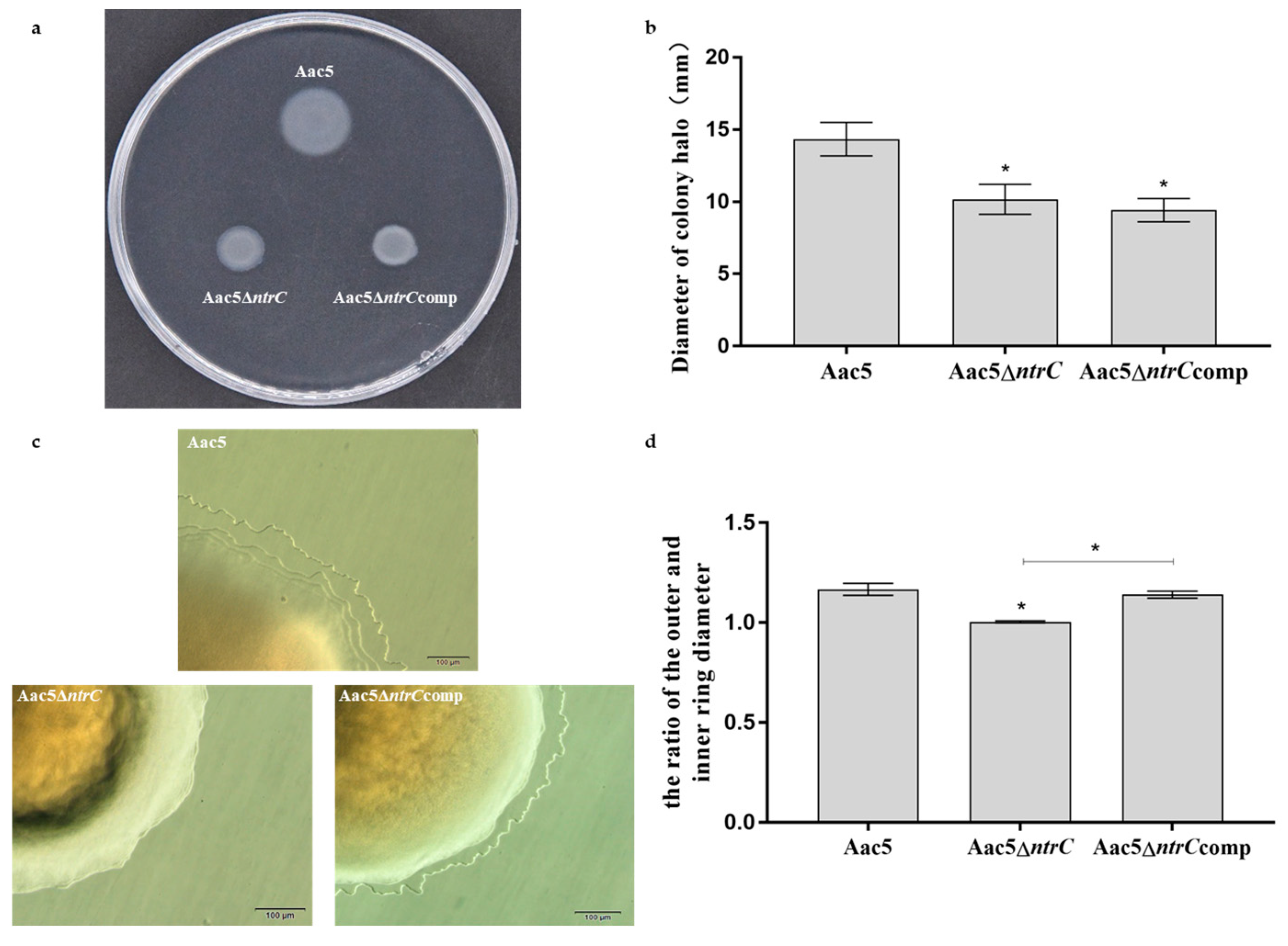 Microorganisms 11 00767 g005 Microorganisms 11 00767 g005