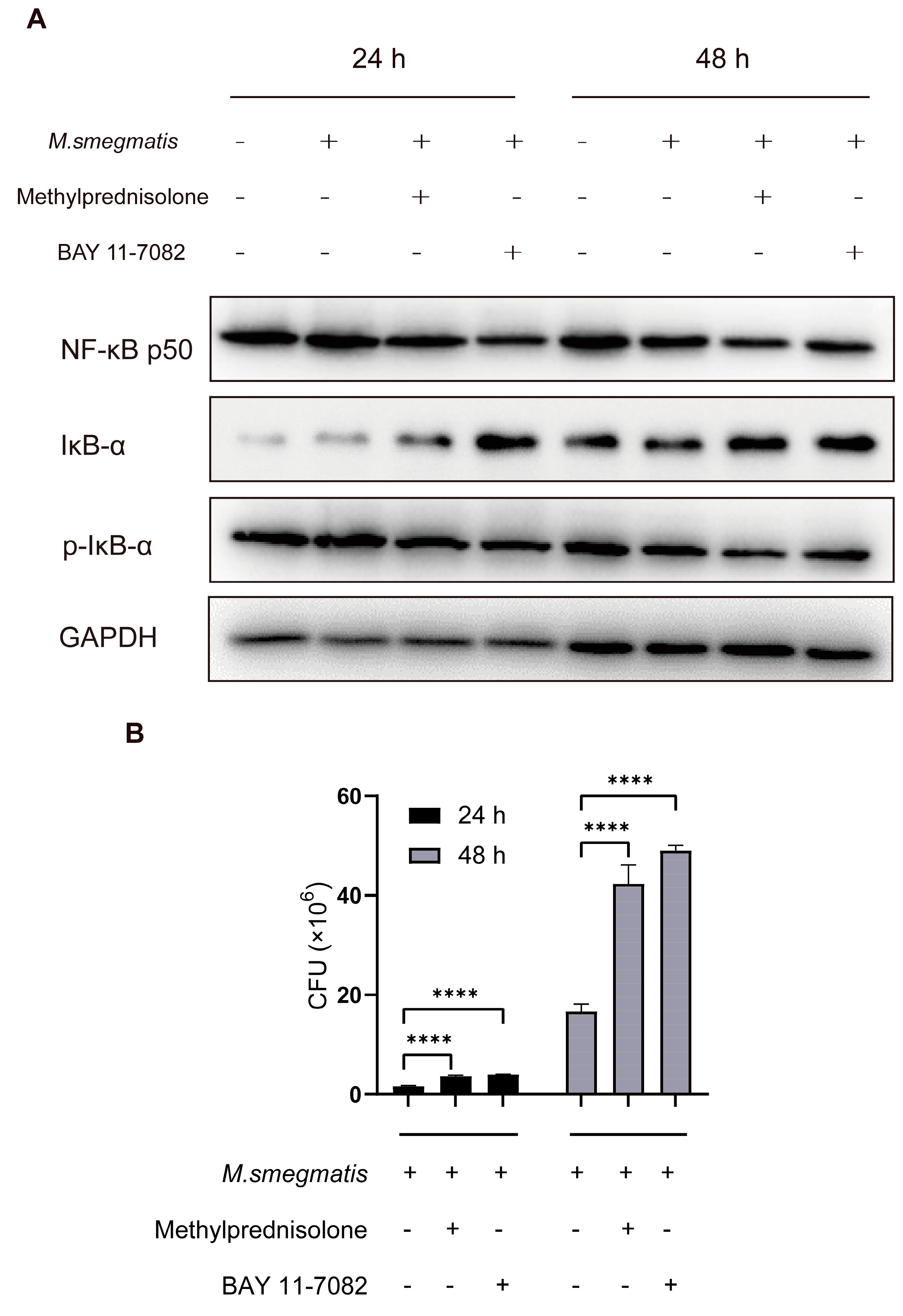 Microorganisms 11 00768 g002 Microorganisms 11 00768 g002