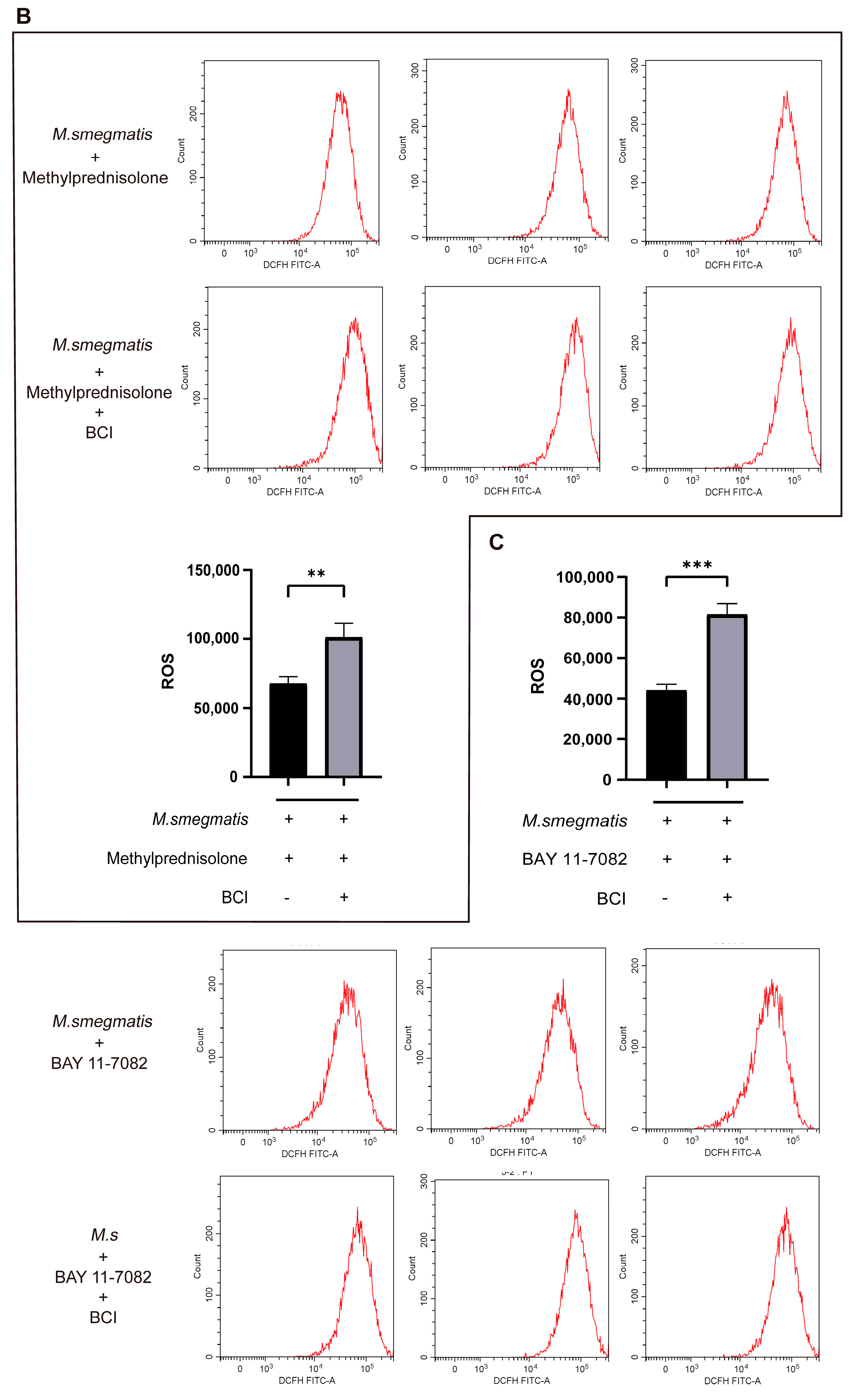 Microorganisms 11 00768 g008b Microorganisms 11 00768 g008b