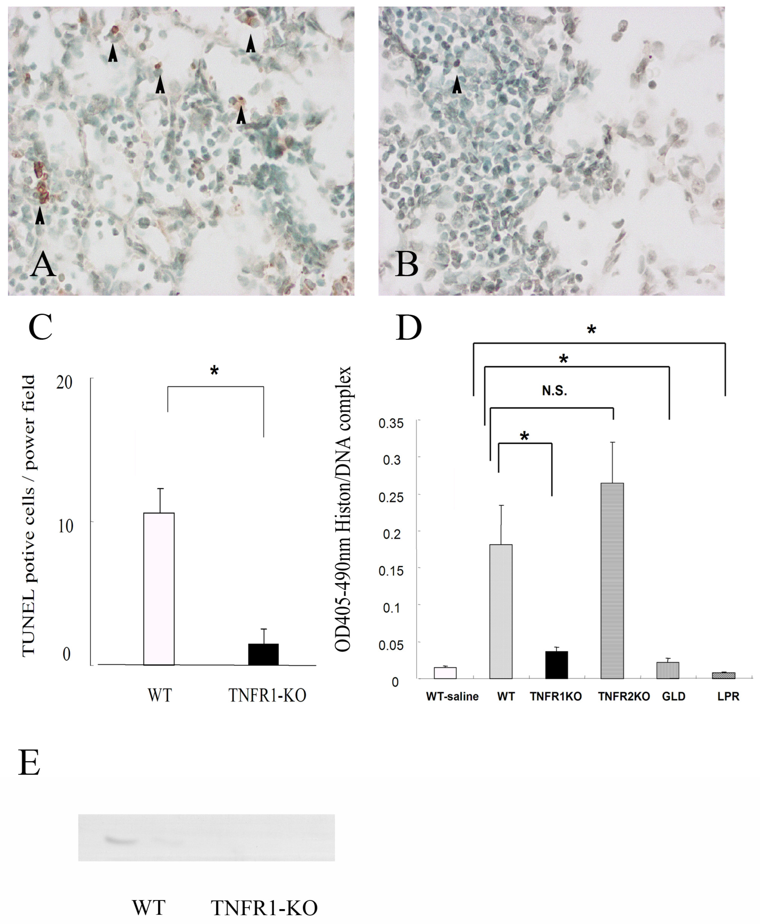 Microorganisms 11 00778 g004 Microorganisms 11 00778 g004