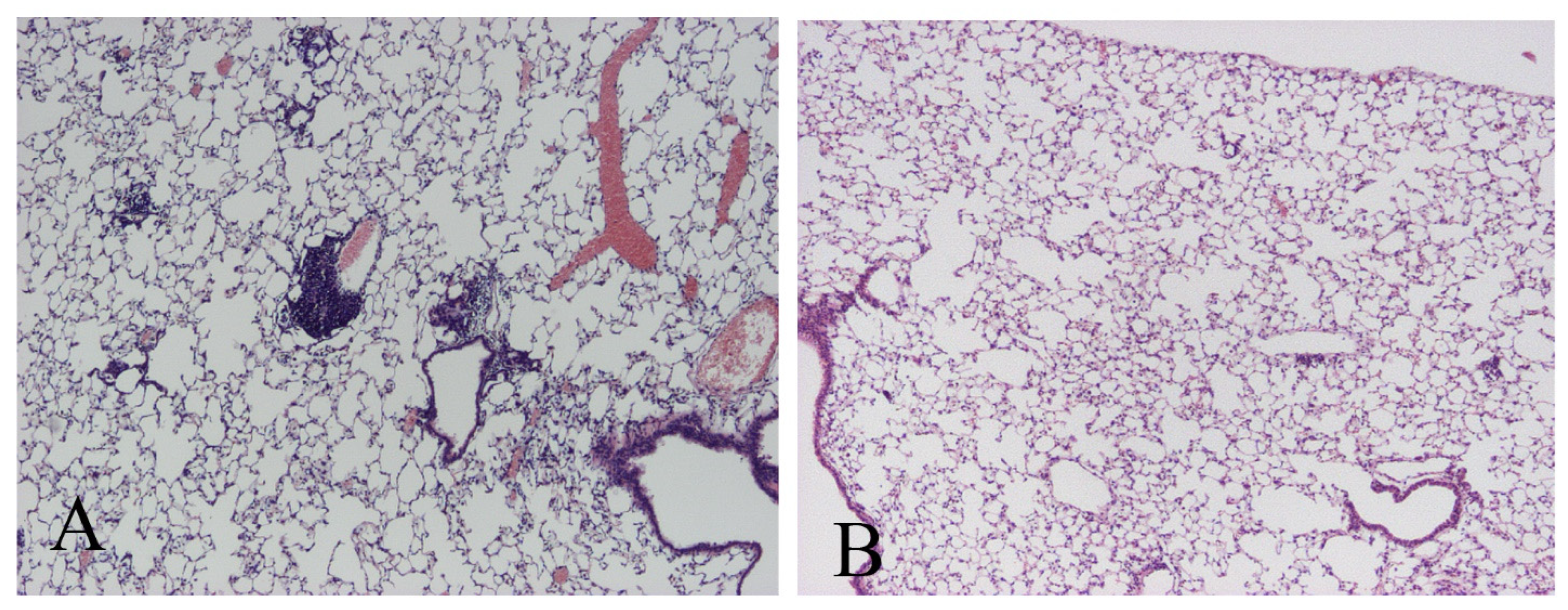 Microorganisms 11 00778 g005 Microorganisms 11 00778 g005