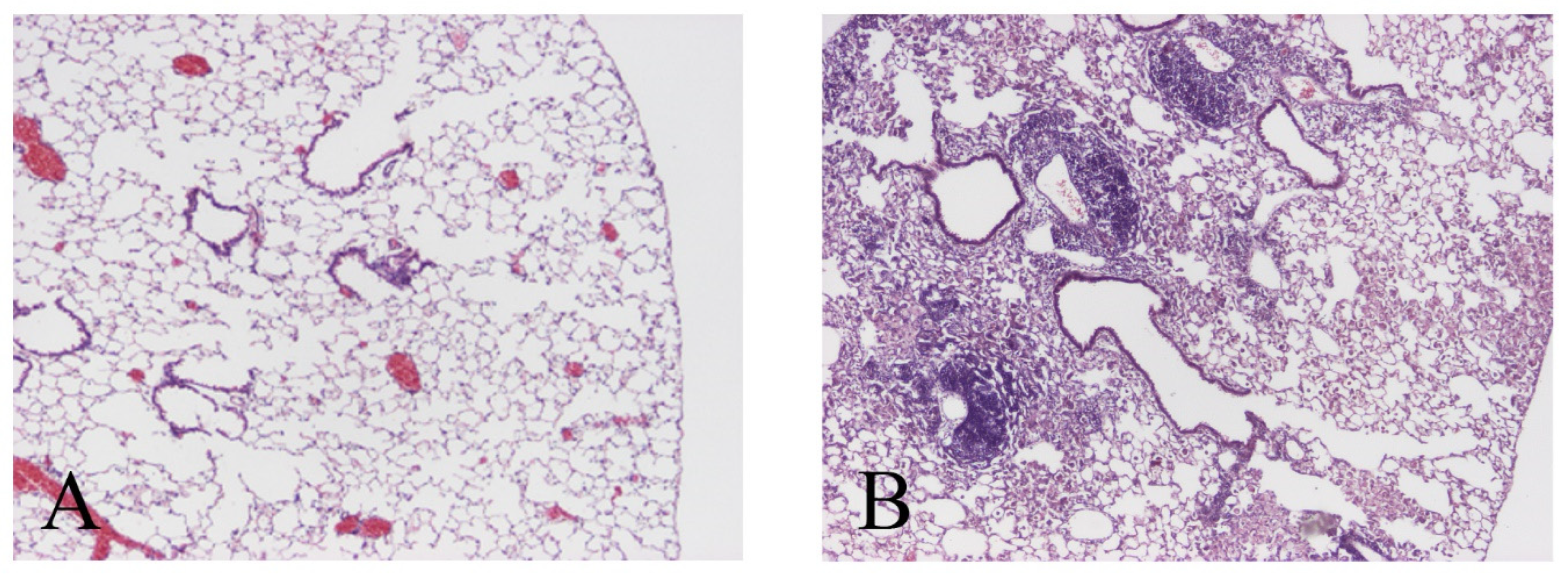 Microorganisms 11 00778 g006 Microorganisms 11 00778 g006
