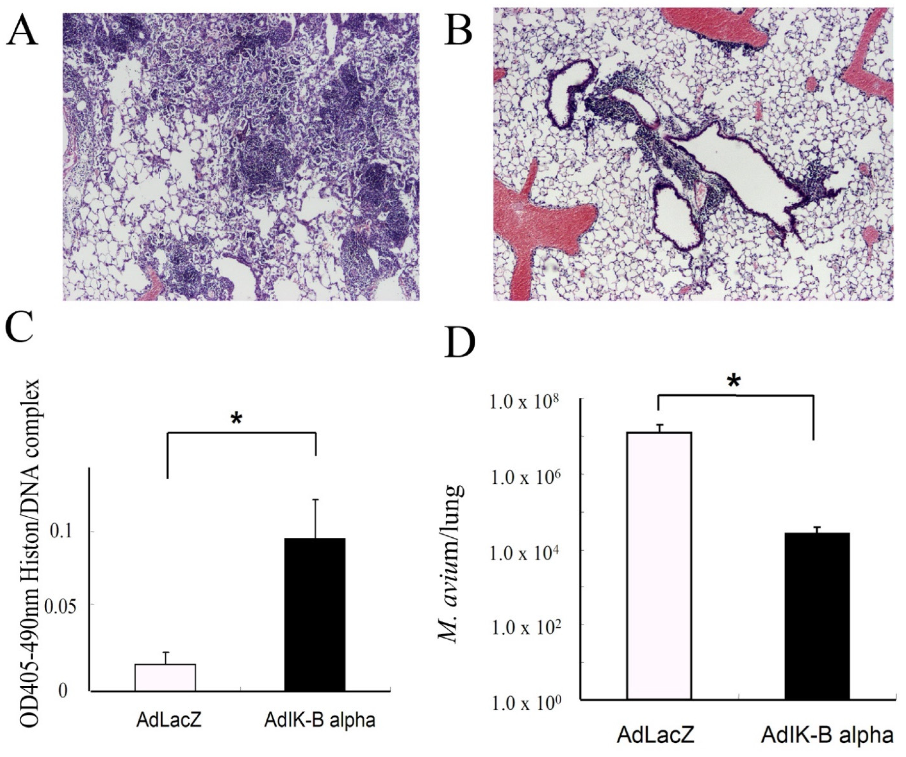 Microorganisms 11 00778 g007 Microorganisms 11 00778 g007