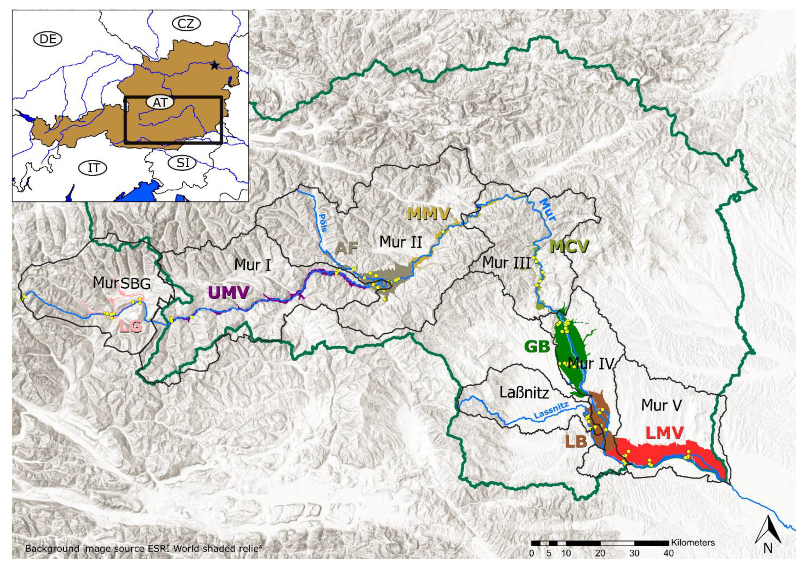 Microorganisms 11 00779 g001 Microorganisms 11 00779 g001