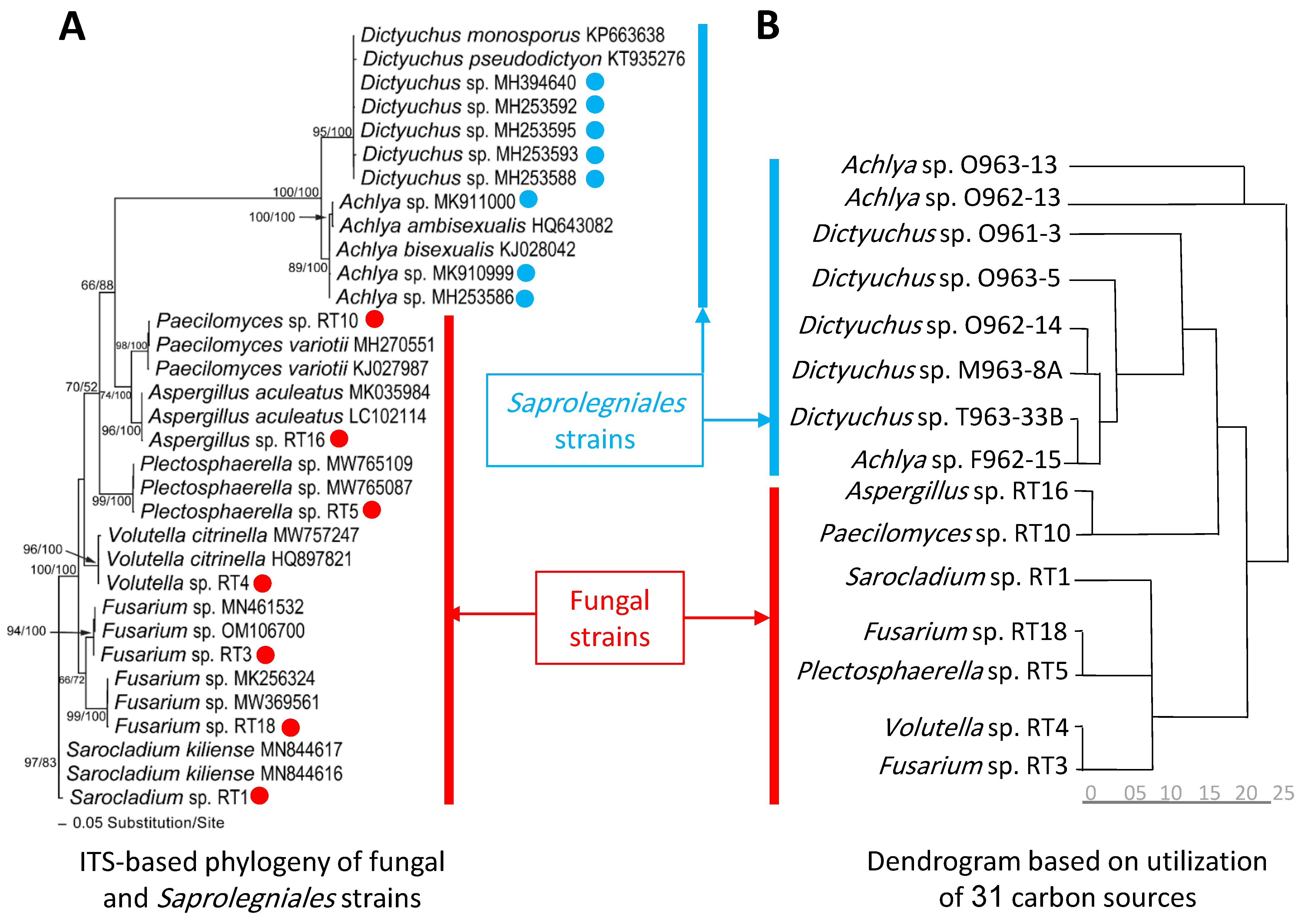 Microorganisms 11 00782 g002 Microorganisms 11 00782 g002