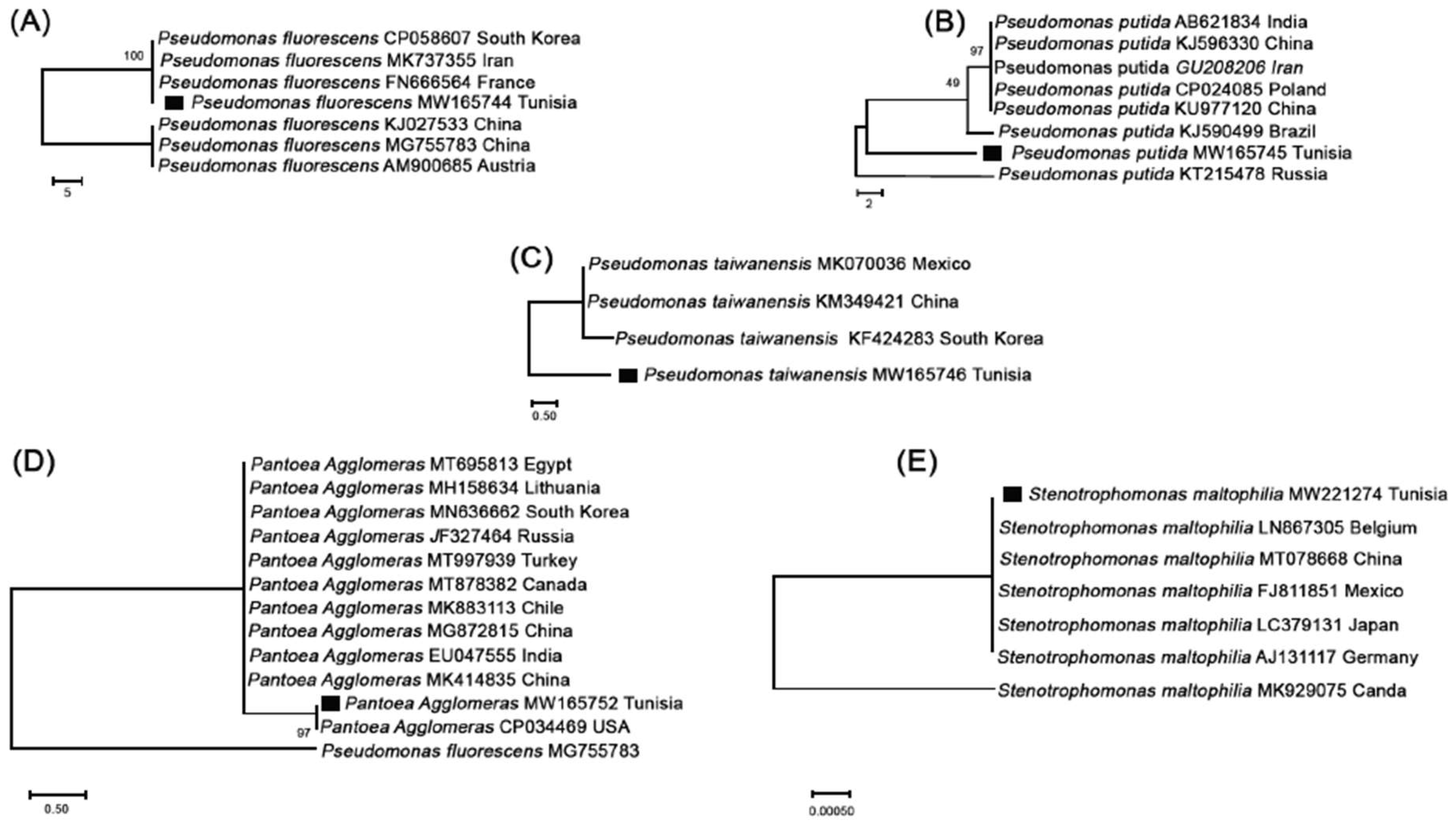 Microorganisms 11 00783 g001