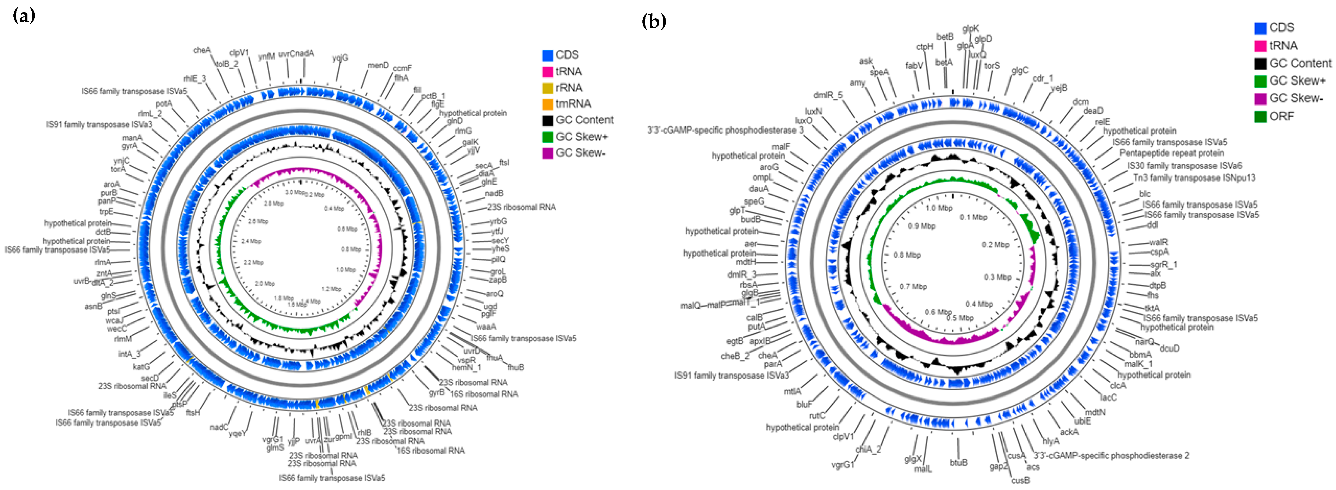 Microorganisms 11 00792 g002 Microorganisms 11 00792 g002
