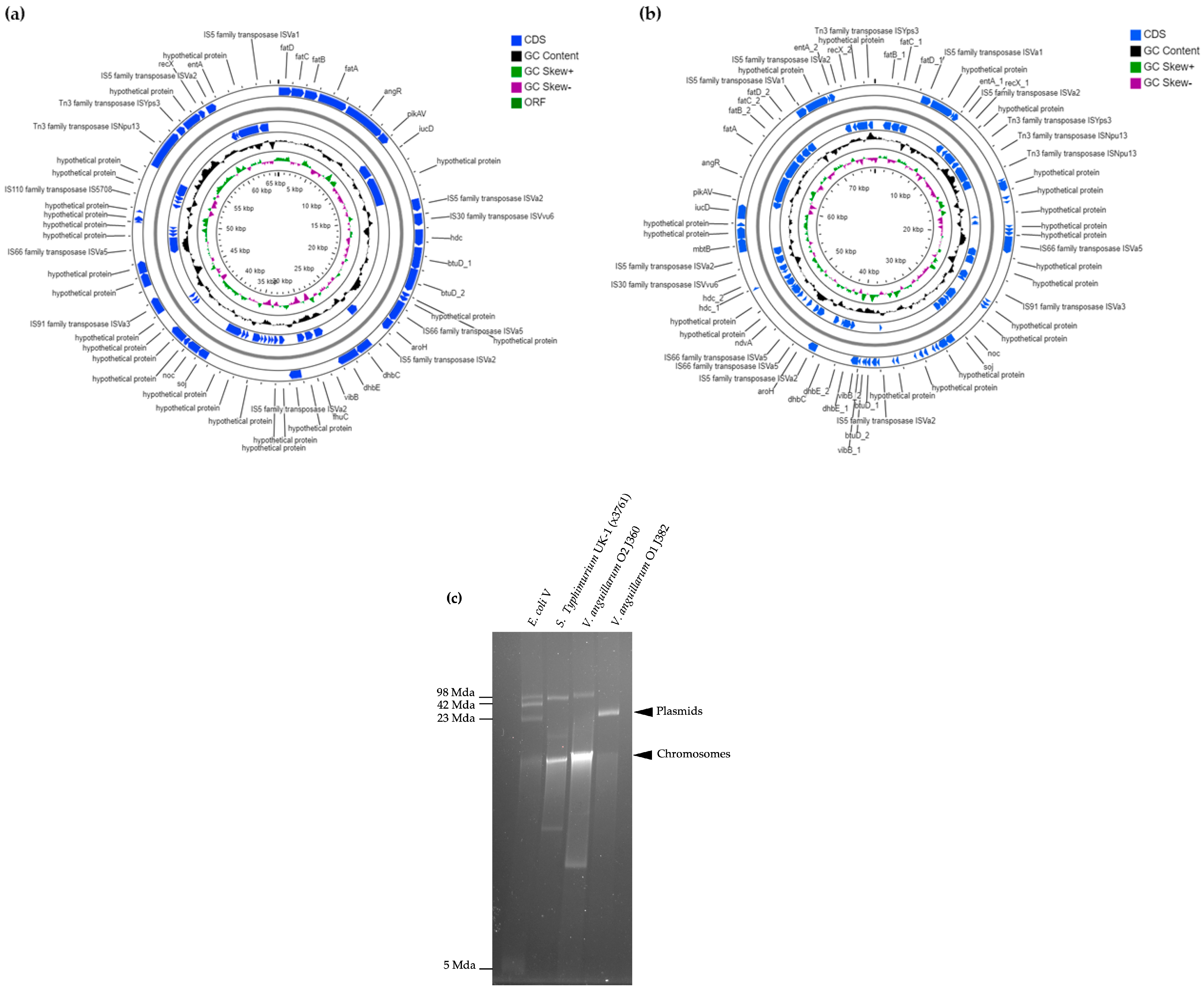 Microorganisms 11 00792 g003 Microorganisms 11 00792 g003