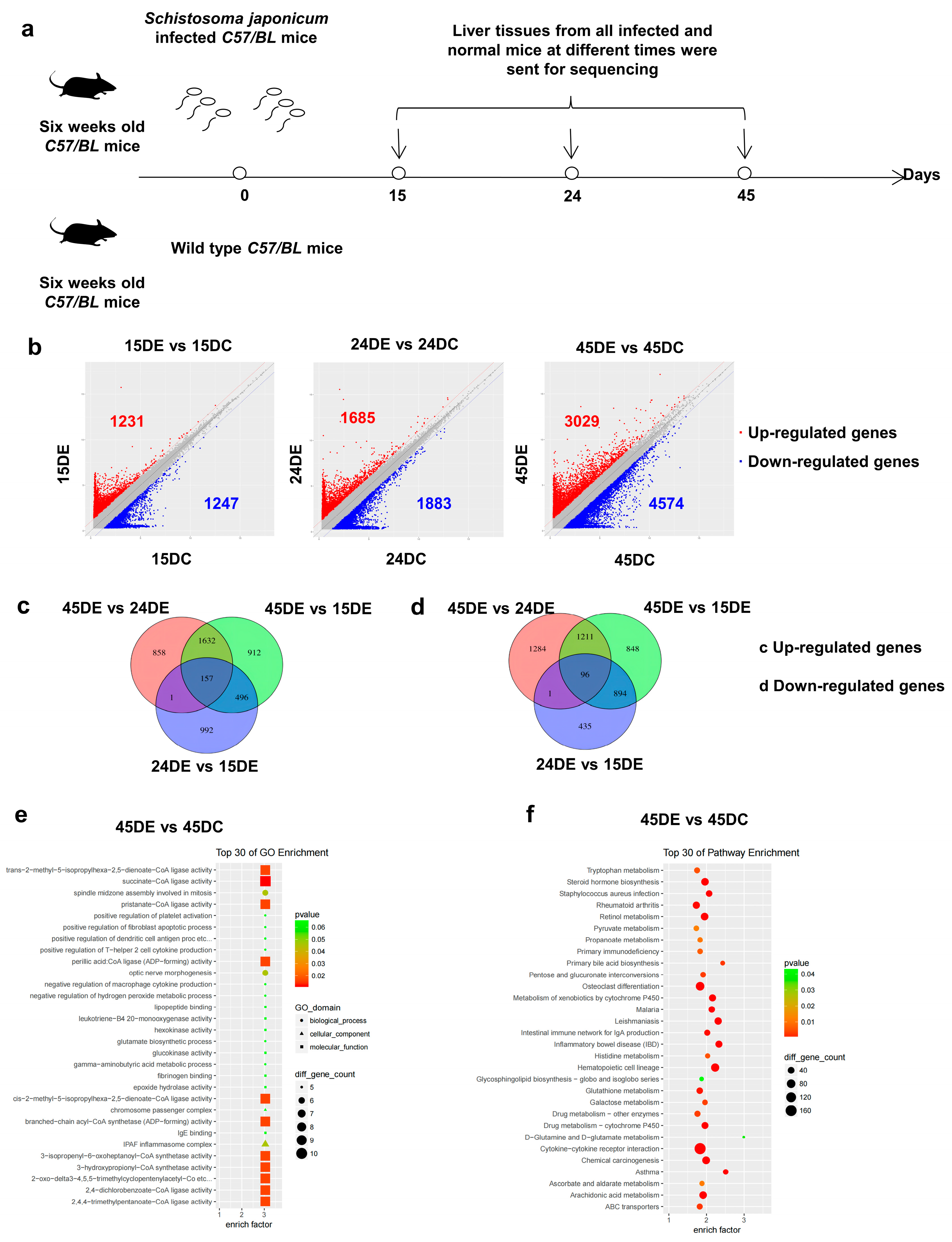 Microorganisms 11 00796 g001