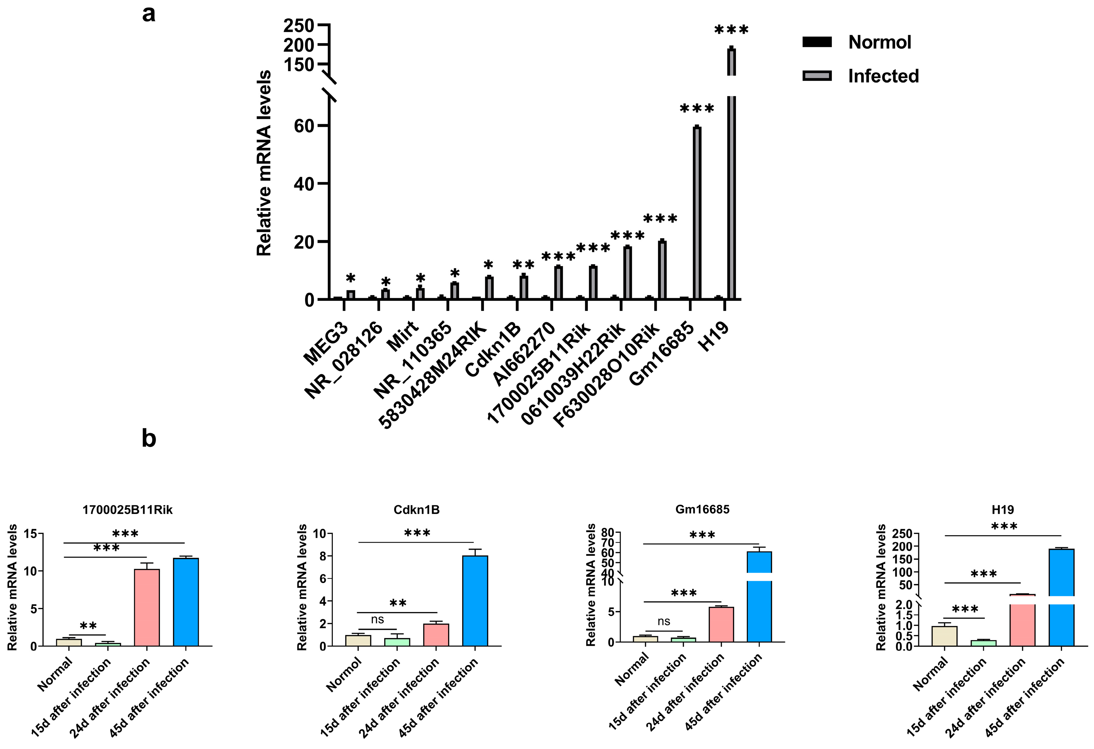 Microorganisms 11 00796 g002