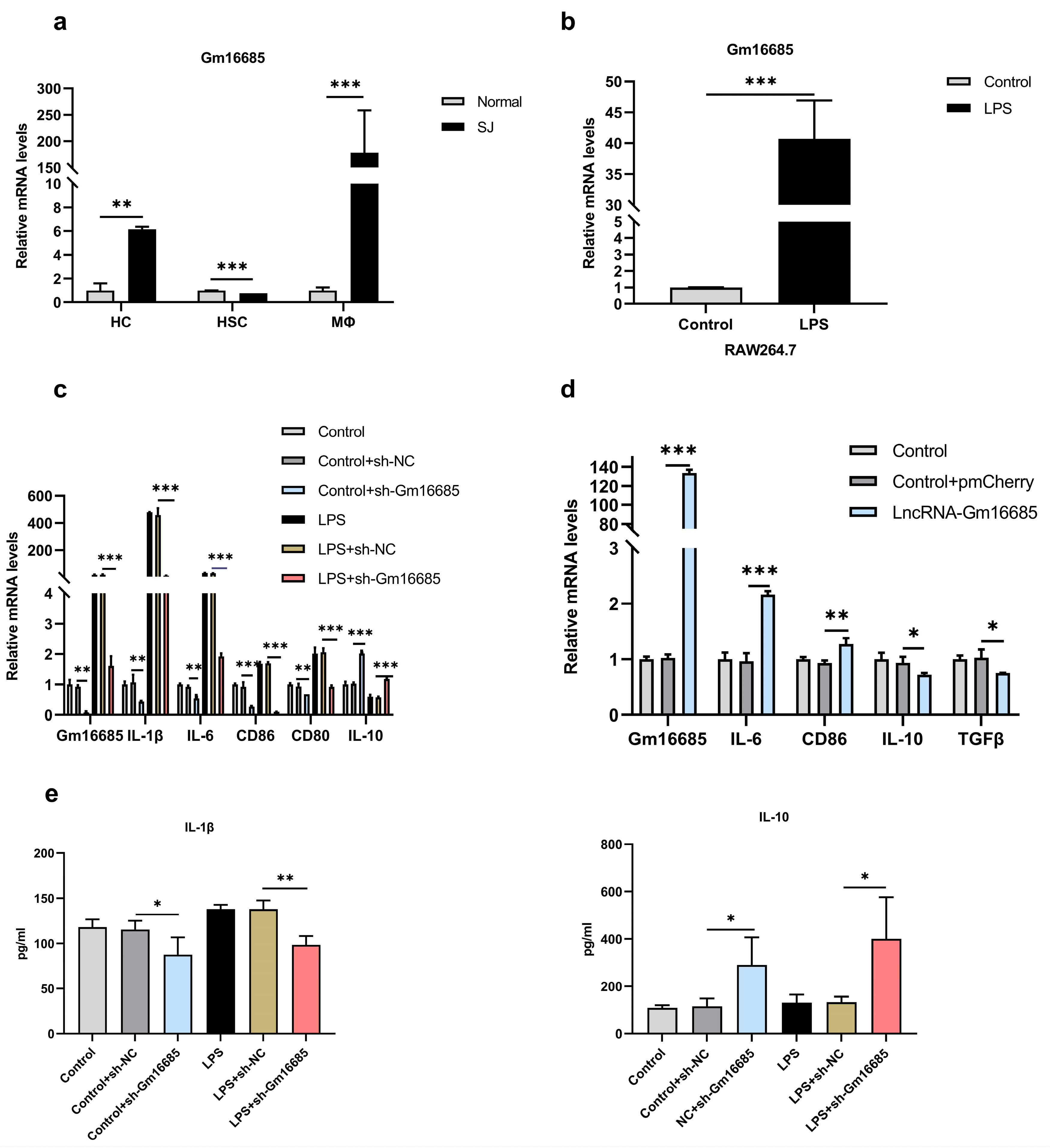 Microorganisms 11 00796 g004