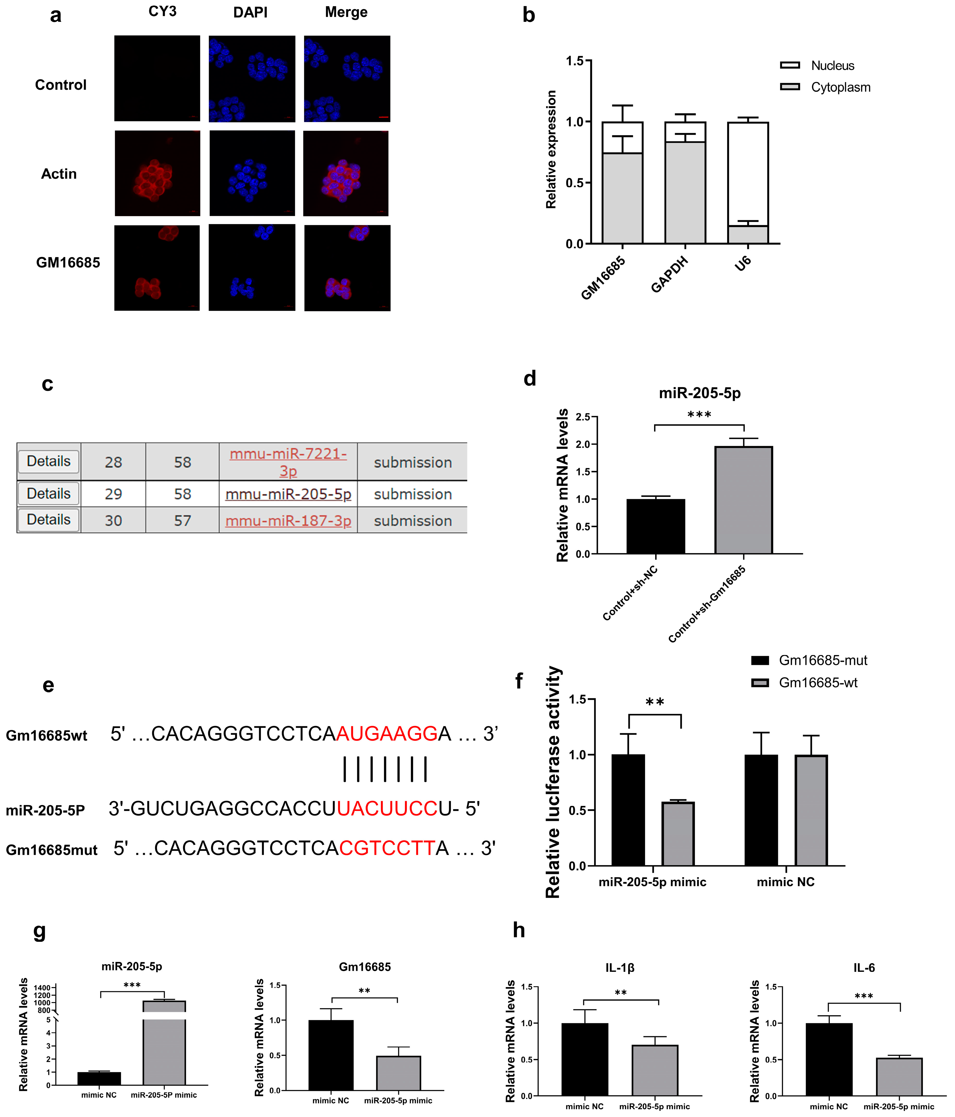 Microorganisms 11 00796 g005