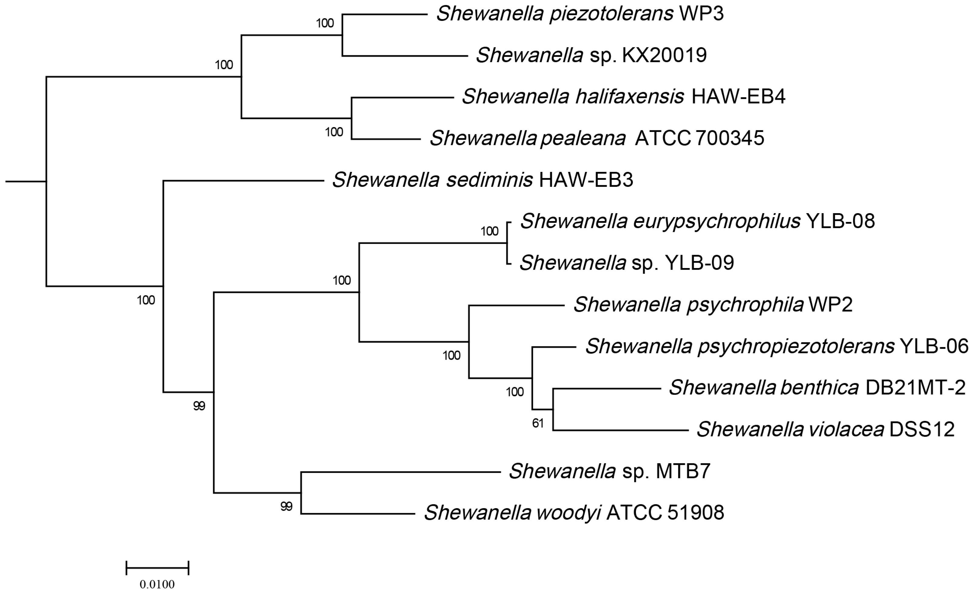 Microorganisms 11 00798 g001 Microorganisms 11 00798 g001