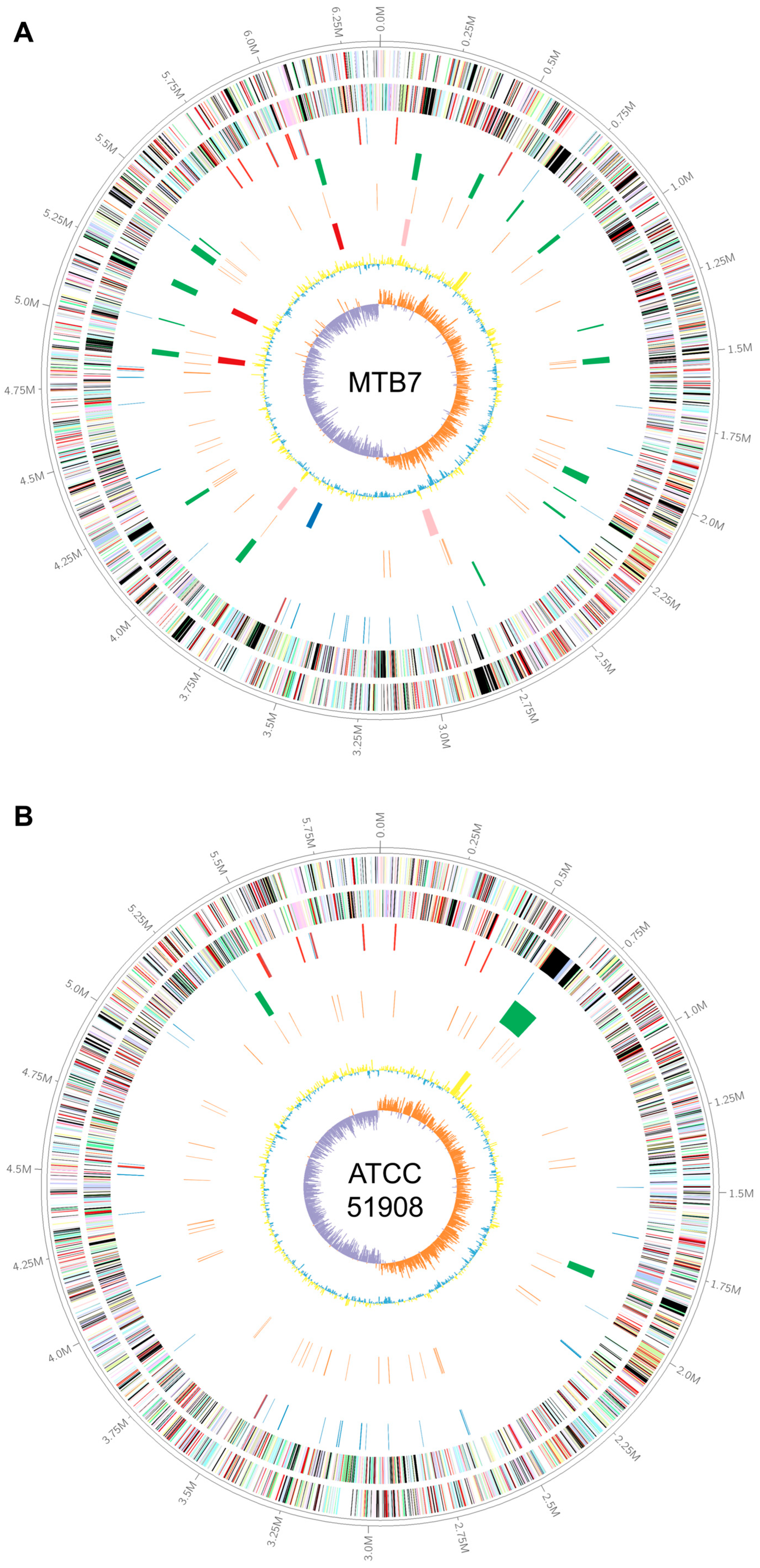 Microorganisms 11 00798 g002 Microorganisms 11 00798 g002