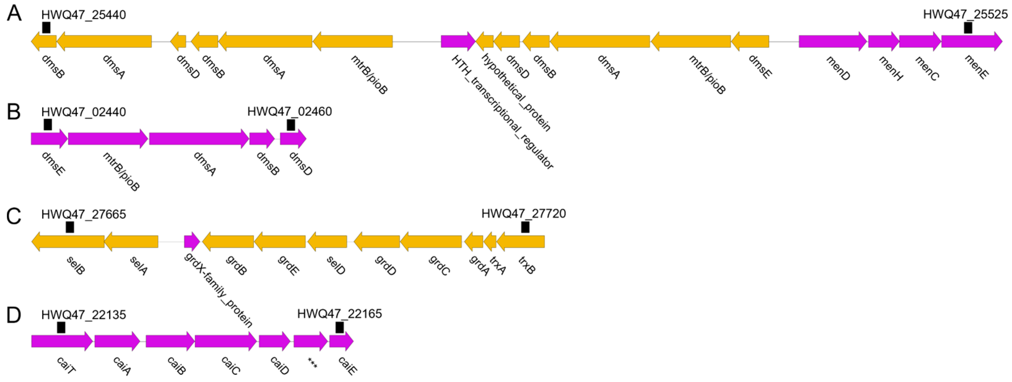 Microorganisms 11 00798 g003 Microorganisms 11 00798 g003