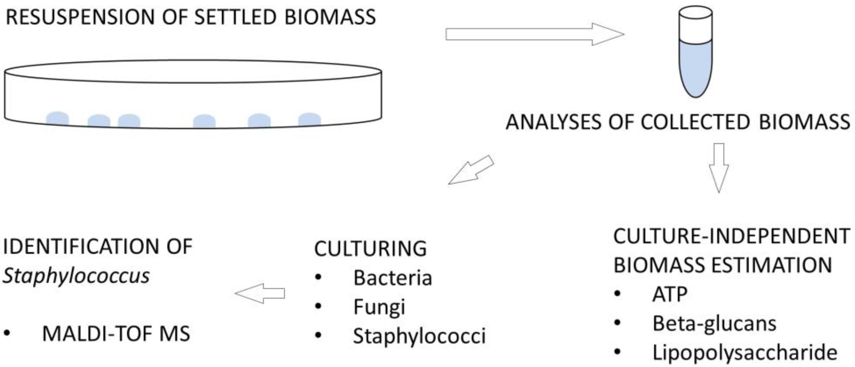 Microorganisms 11 00809 g002