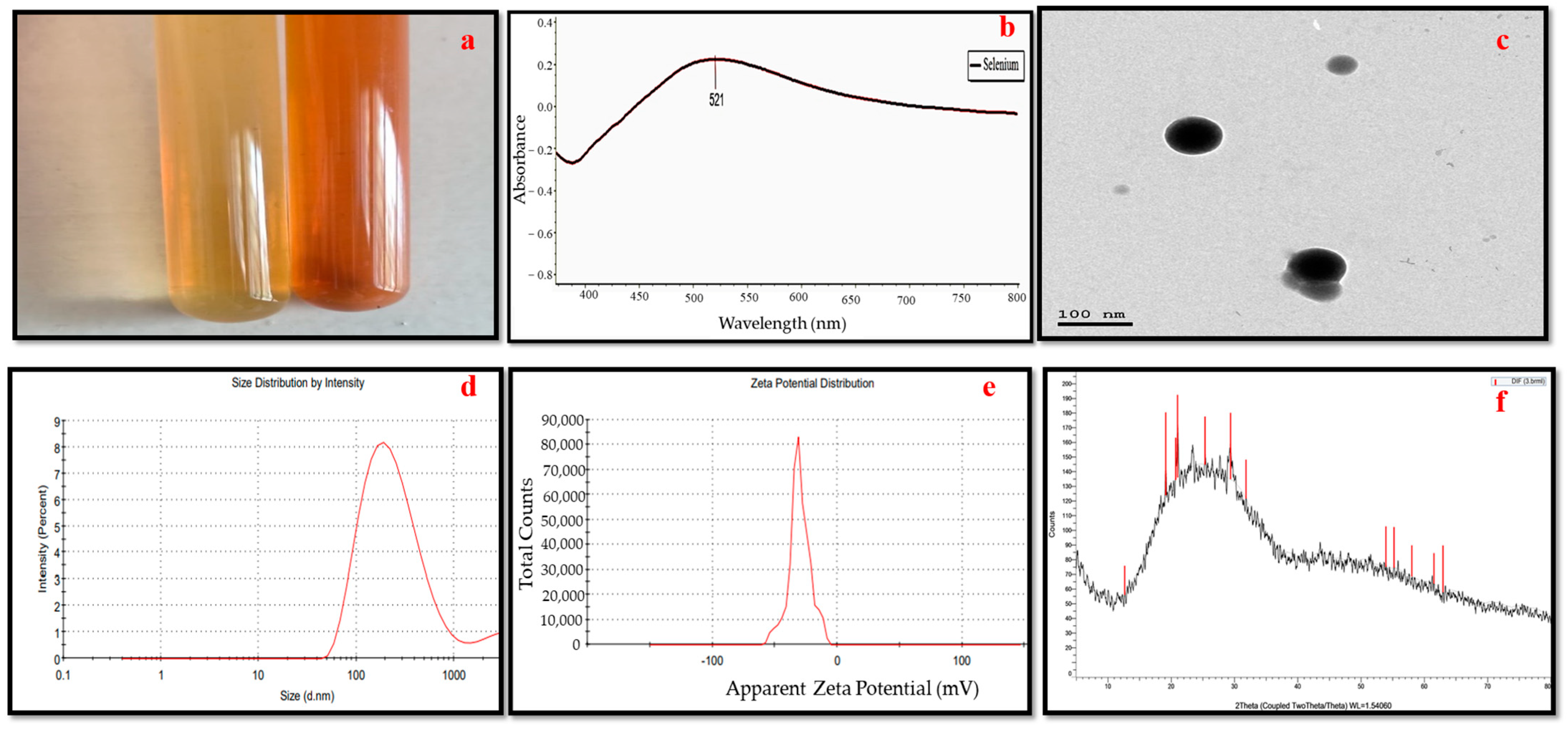 Microorganisms 11 00811 g001