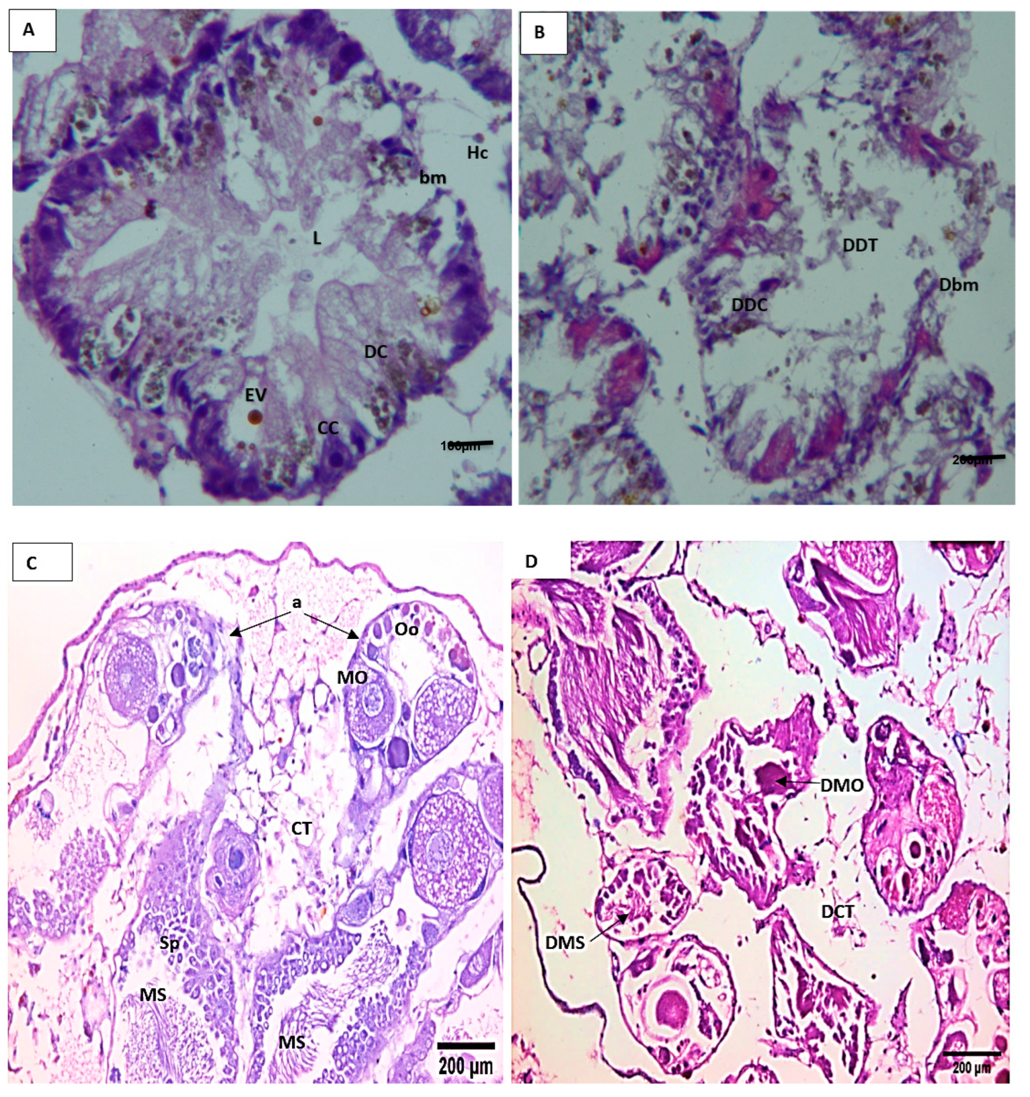 Microorganisms 11 00811 g004