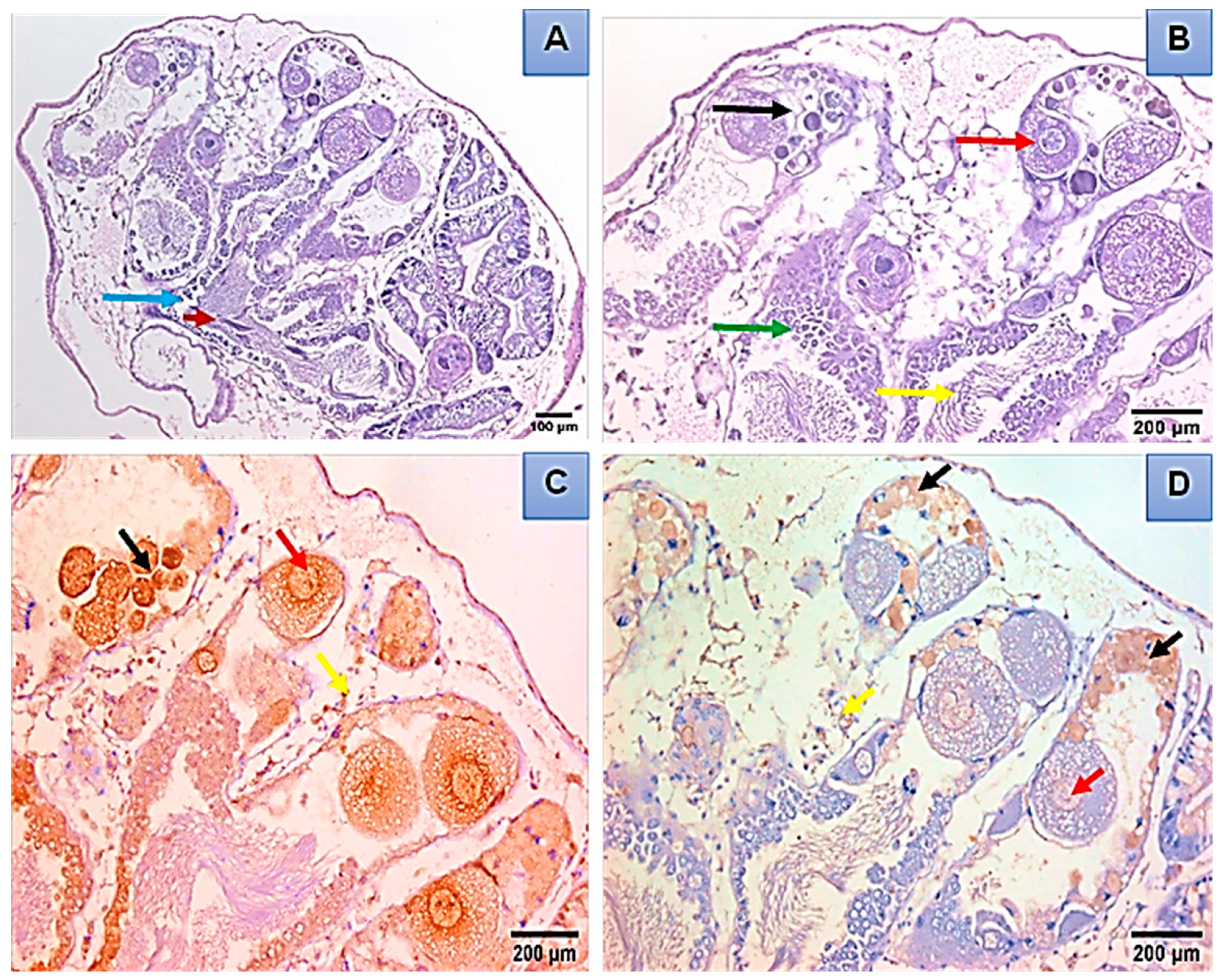 Microorganisms 11 00811 g005