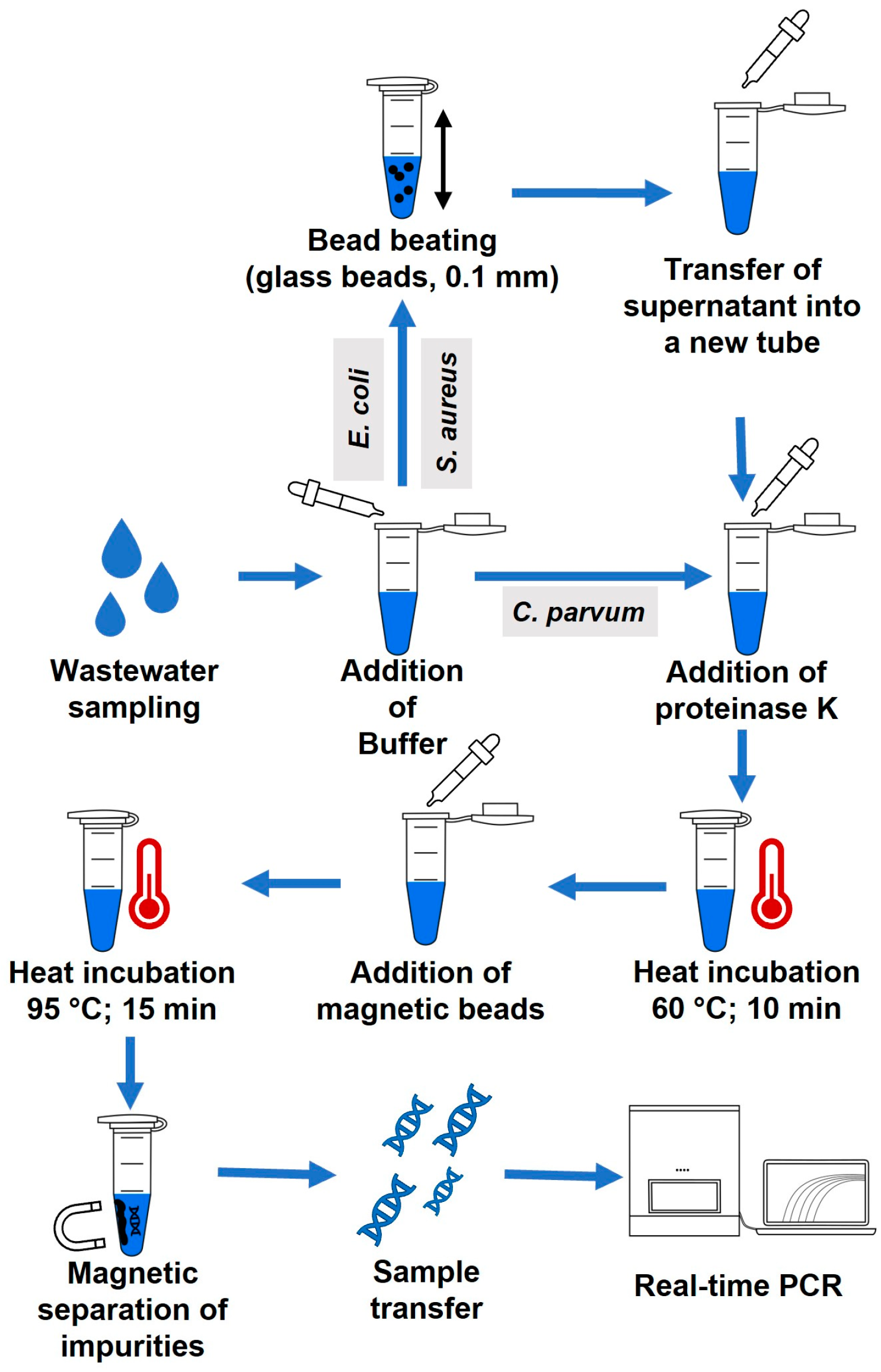 Free FullText Rapid Reverse Purification DNA