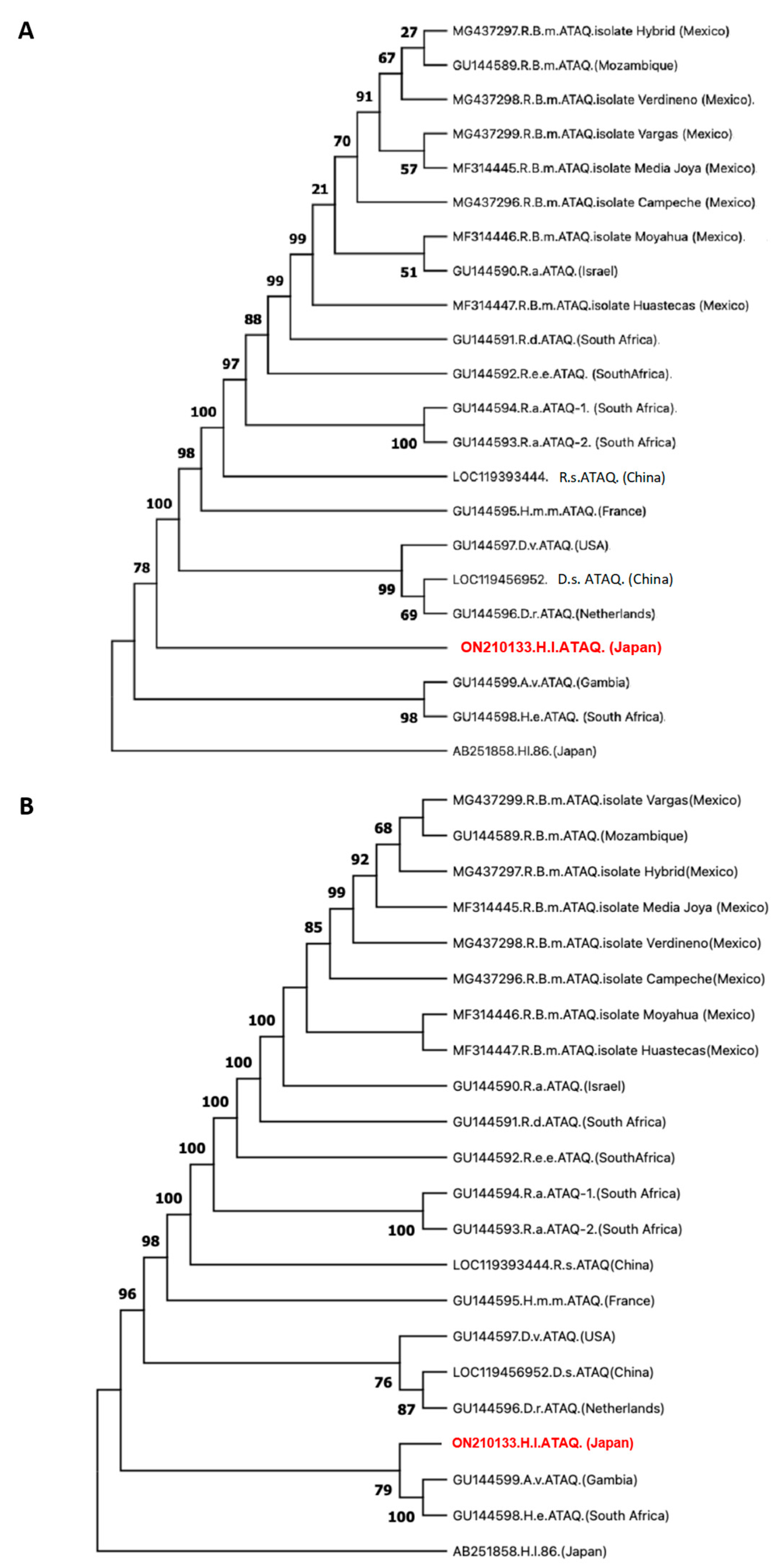 Microorganisms 11 00822 g003