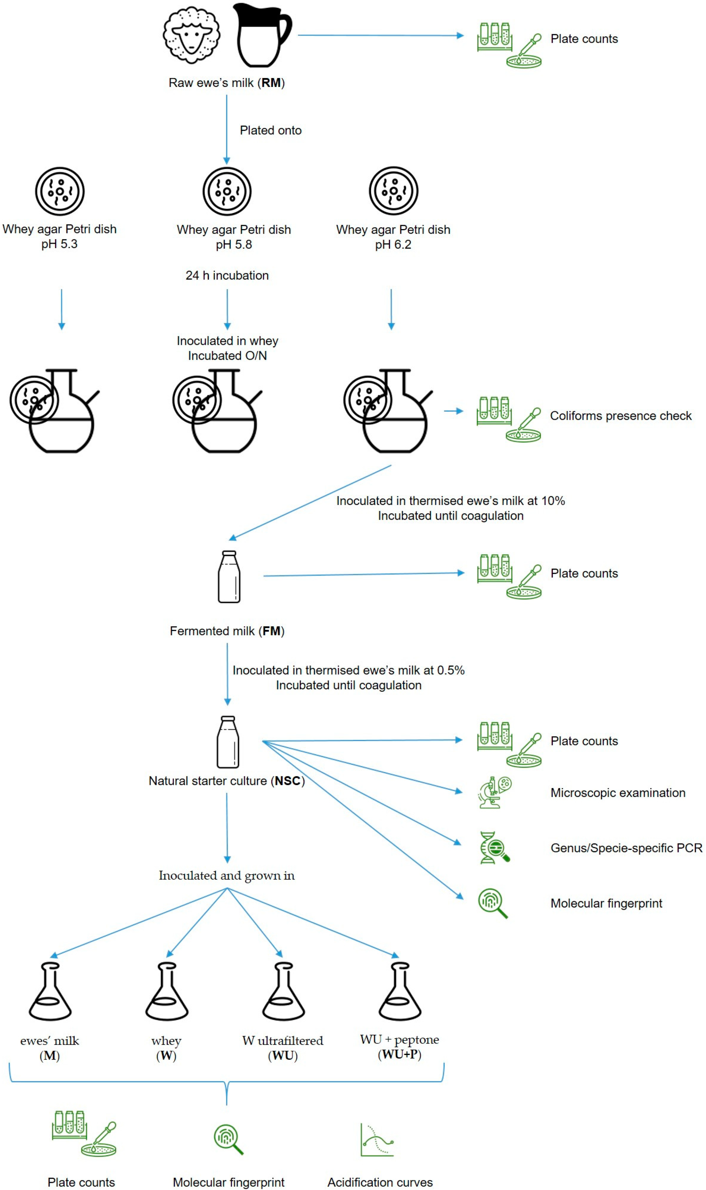 Microorganisms 11 00823 g001