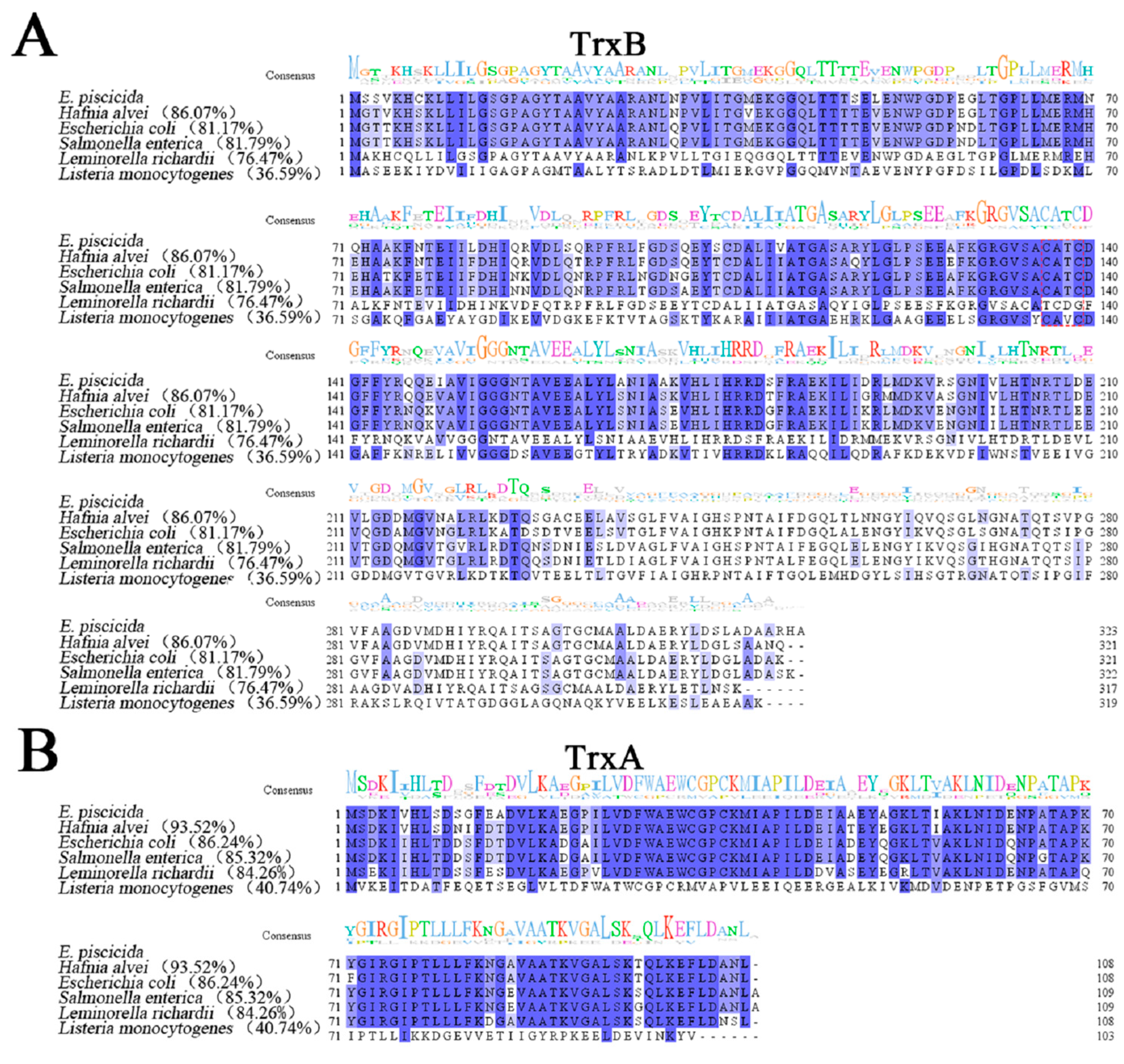 Microorganisms 11 00827 g001a Microorganisms 11 00827 g001a