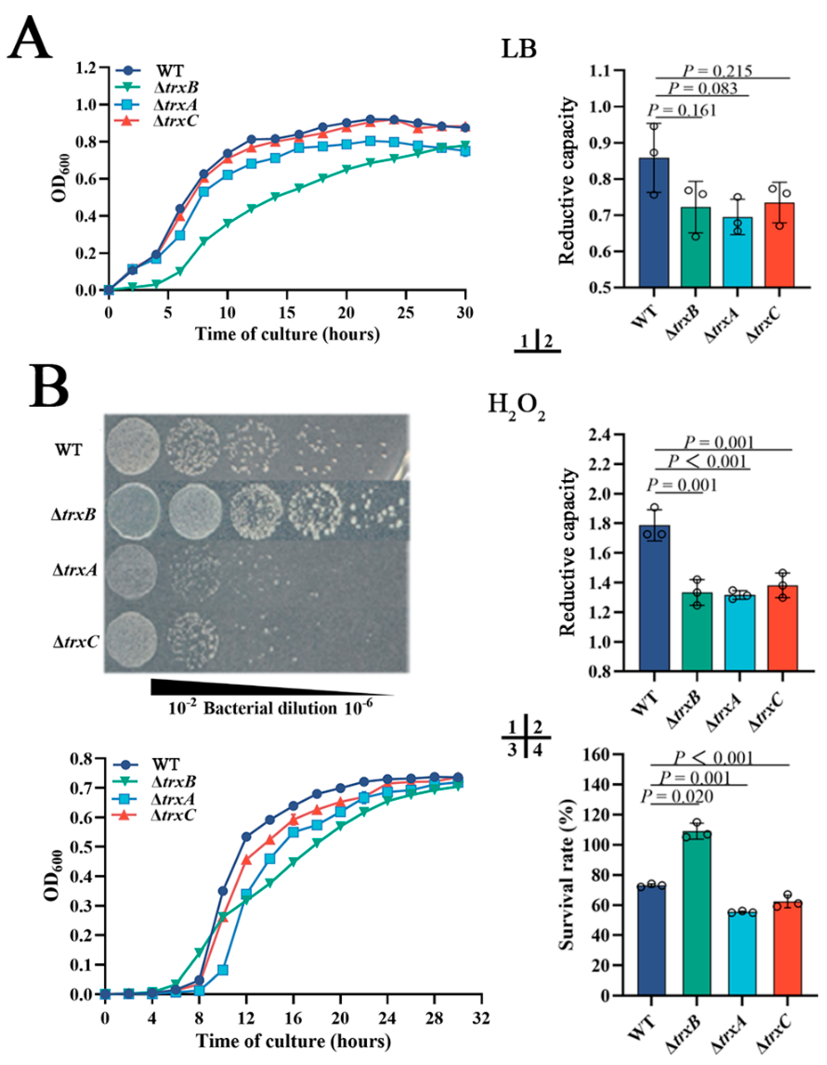Microorganisms 11 00827 g003a Microorganisms 11 00827 g003a