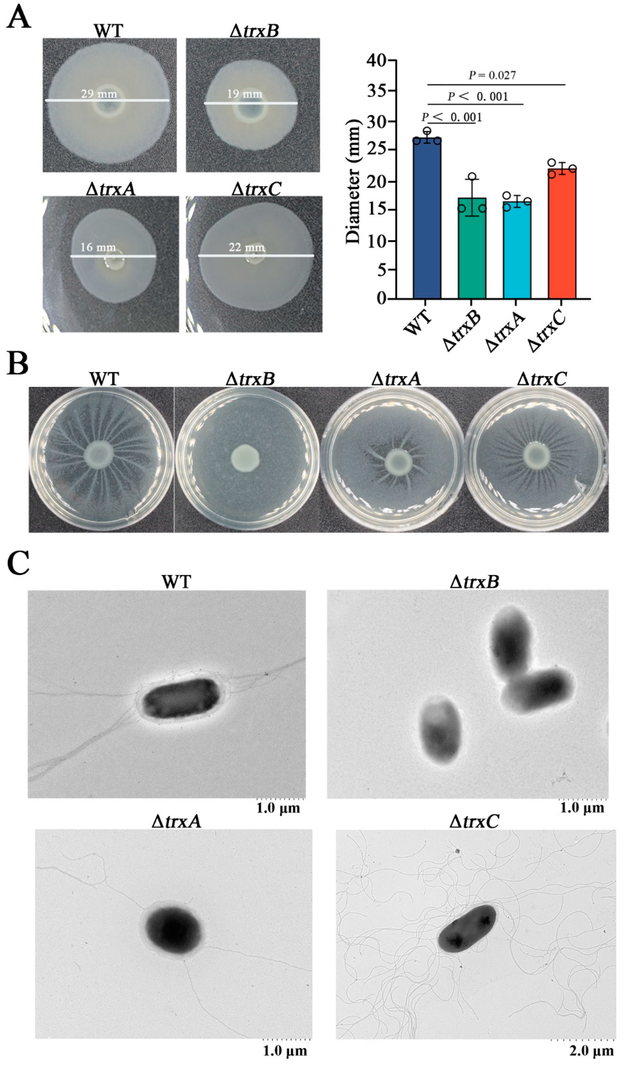 Microorganisms 11 00827 g004 Microorganisms 11 00827 g004