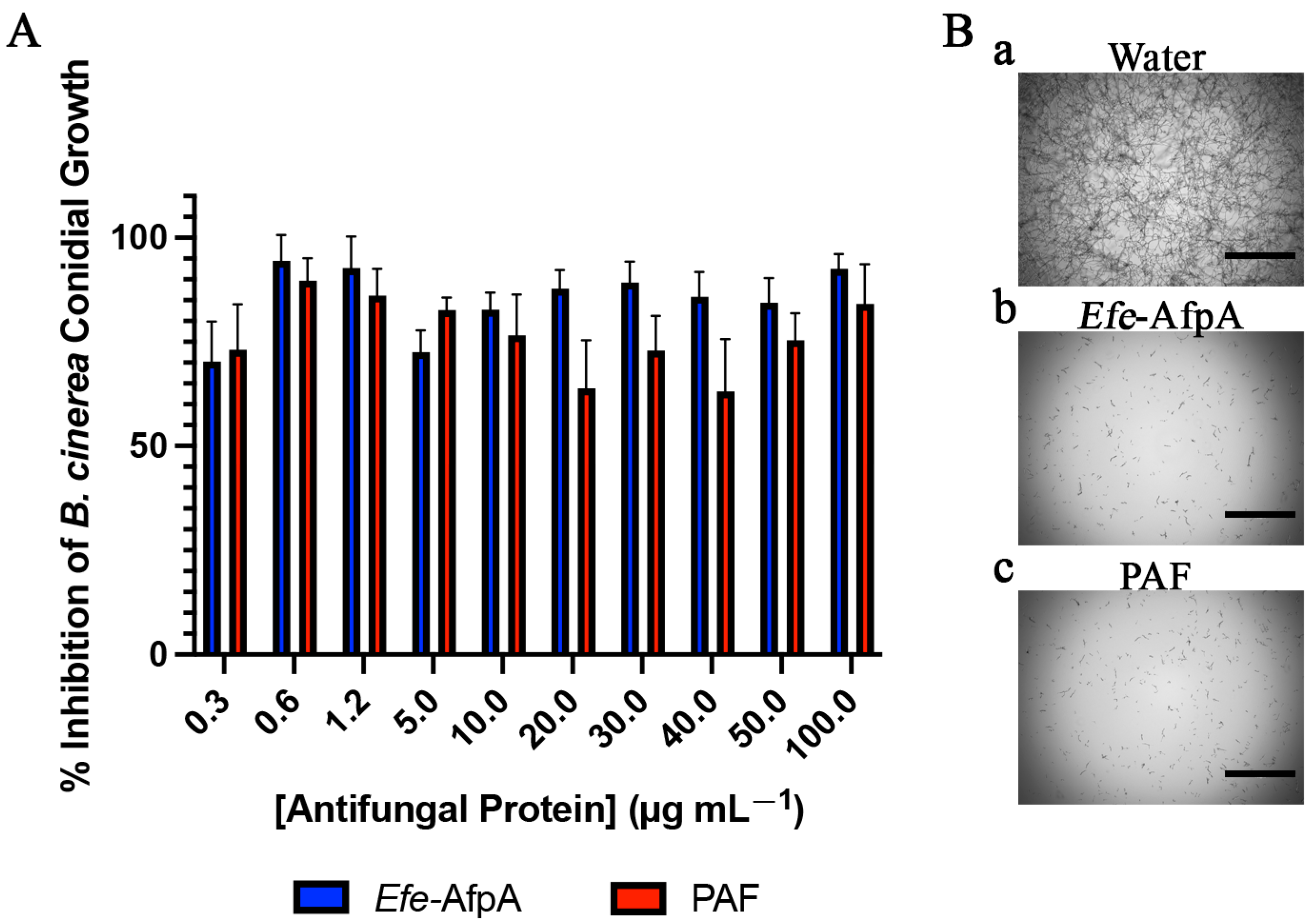 Microorganisms 11 00828 g001 Microorganisms 11 00828 g001