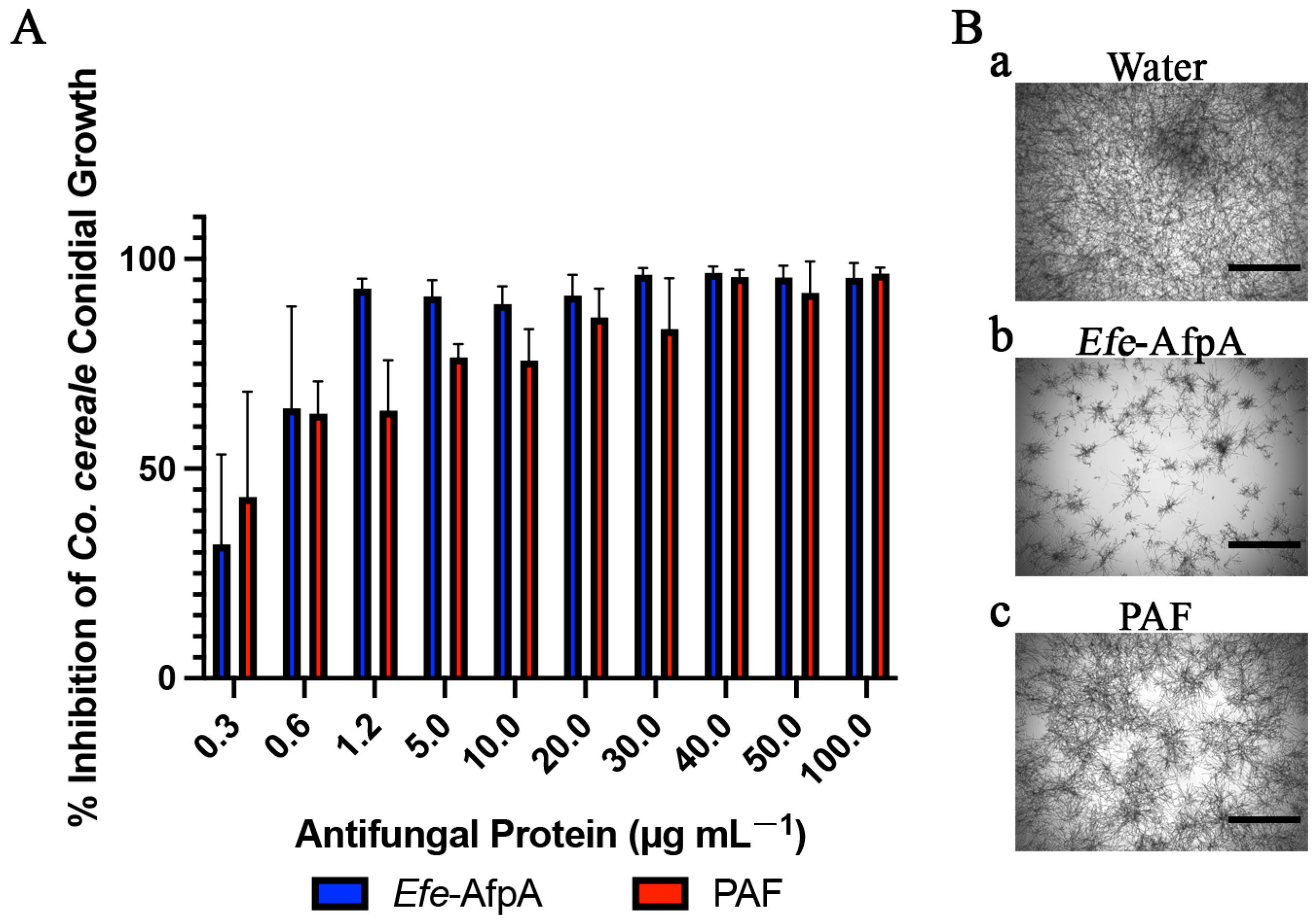 Microorganisms 11 00828 g002 Microorganisms 11 00828 g002