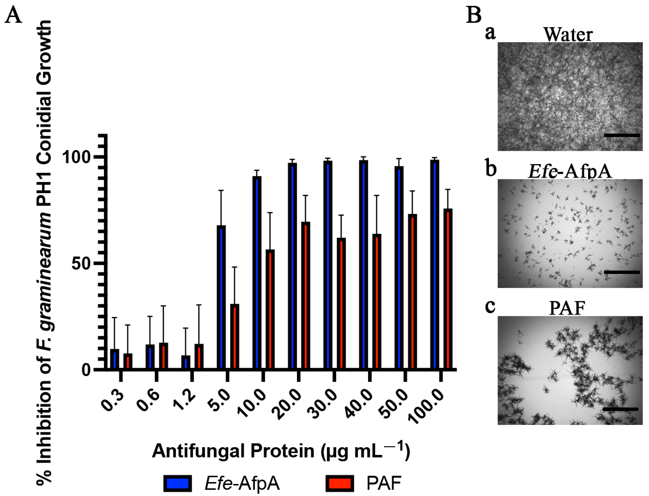 Microorganisms 11 00828 g004 Microorganisms 11 00828 g004