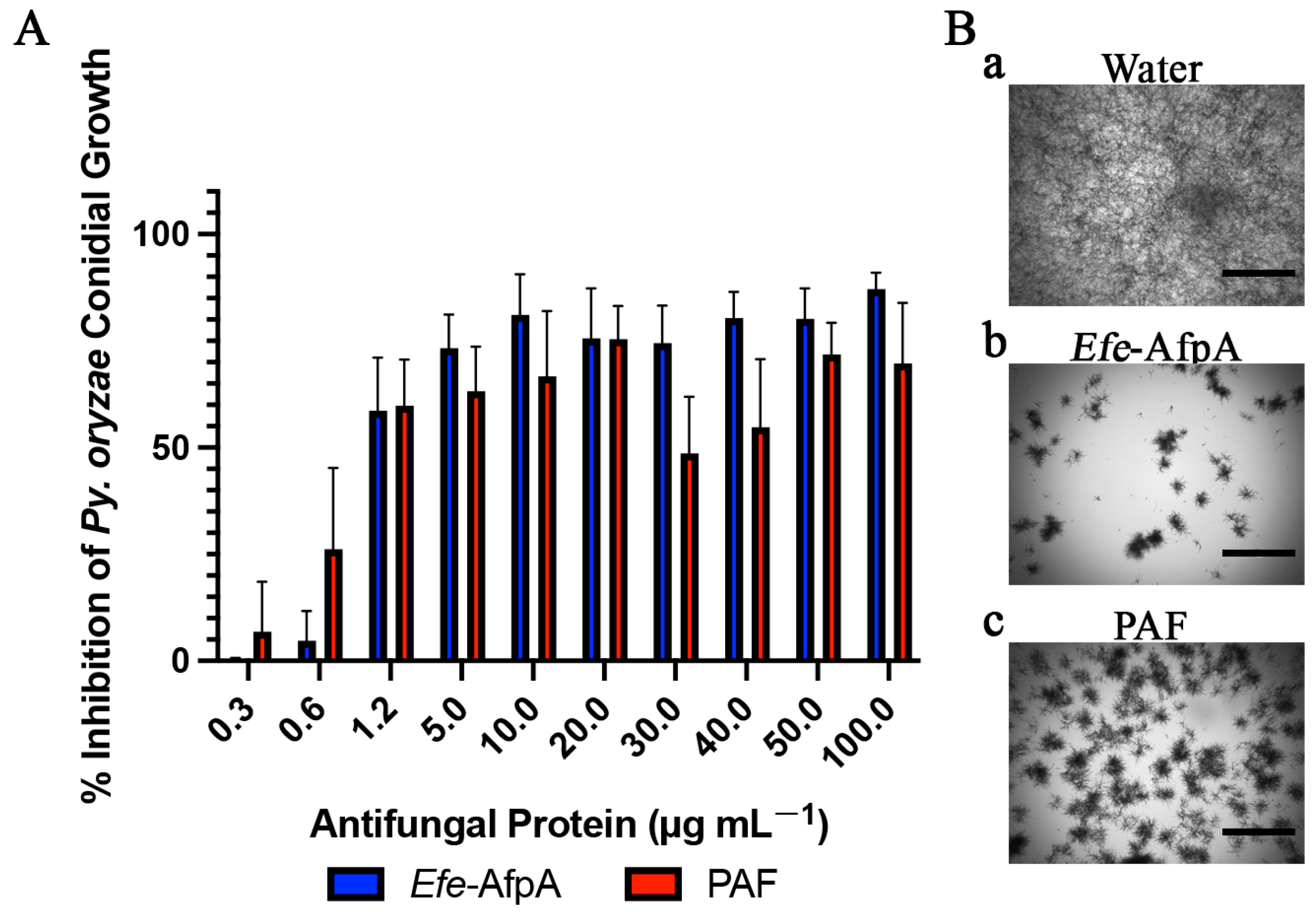 Microorganisms 11 00828 g005 Microorganisms 11 00828 g005
