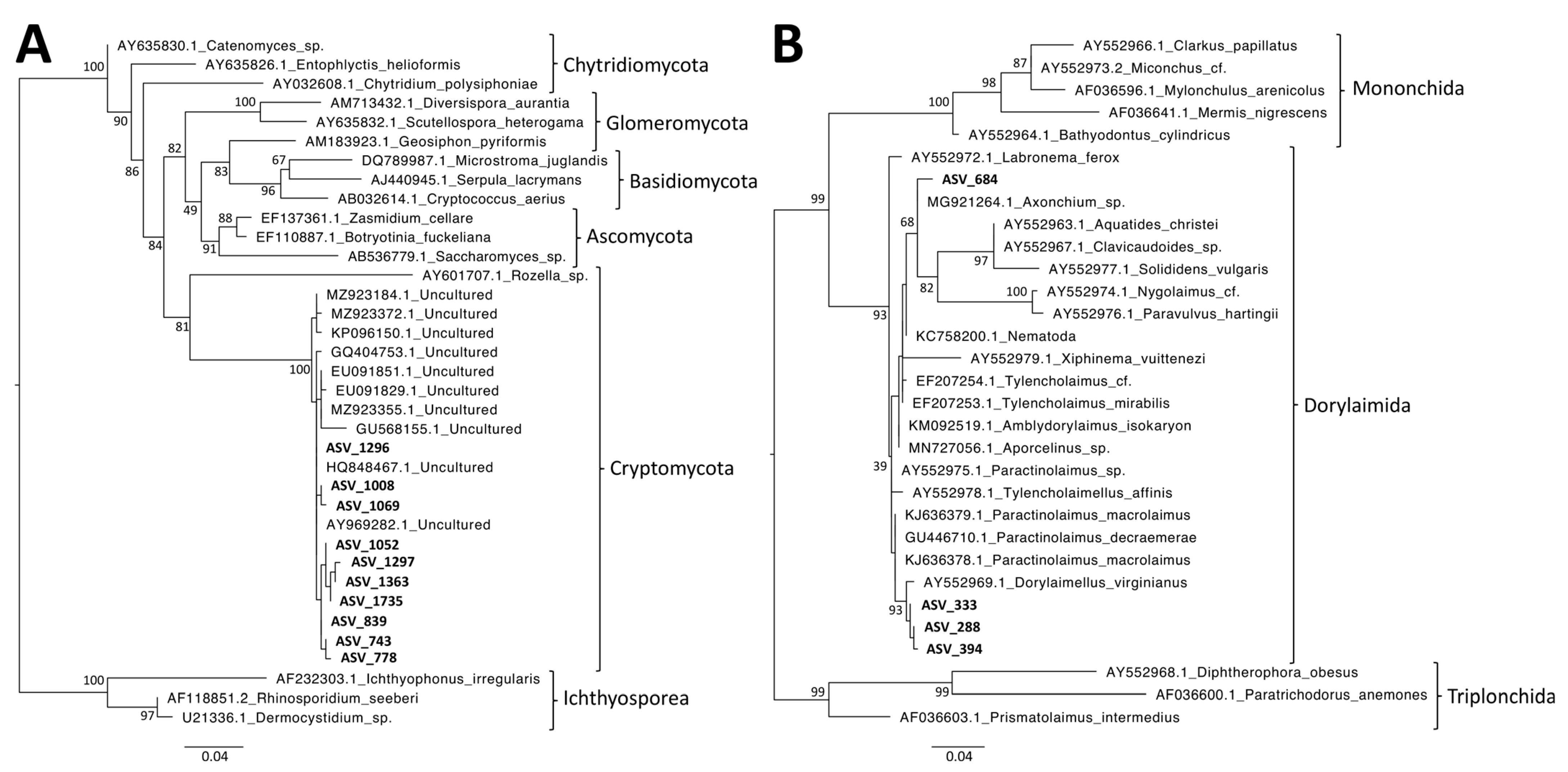 Microorganisms 11 00832 g008