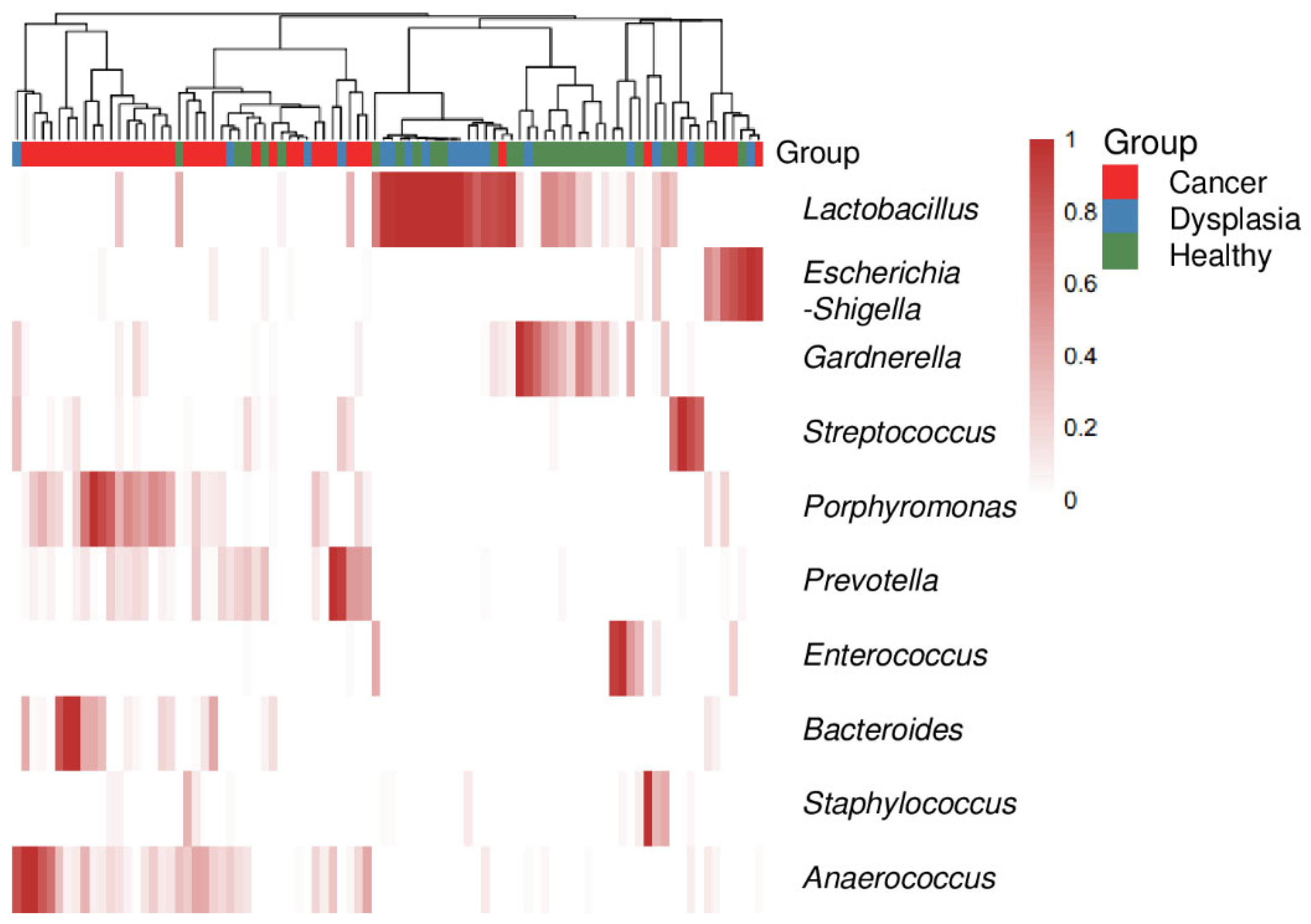 Microorganisms 11 00833 g004 Microorganisms 11 00833 g004